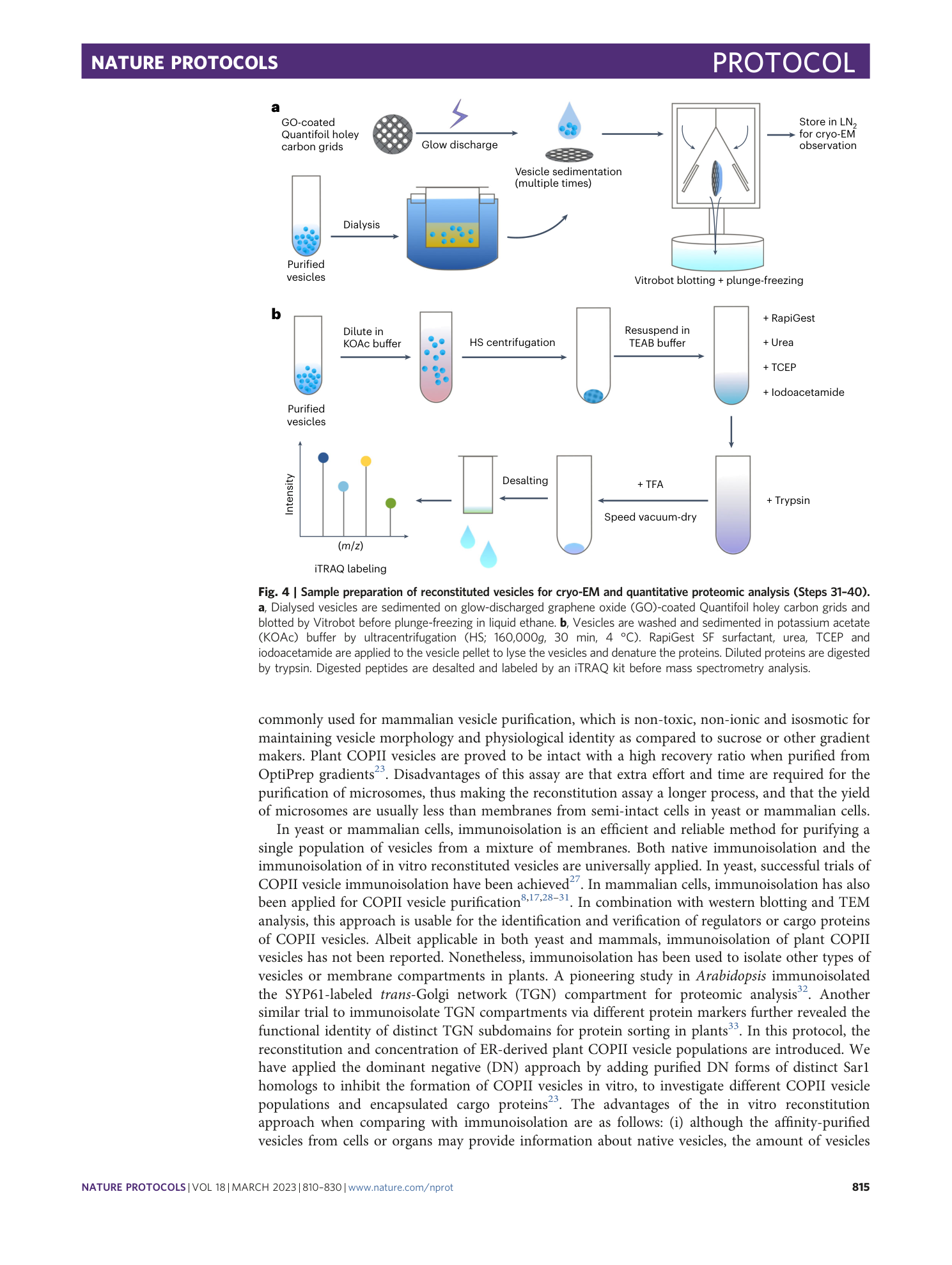 page-6