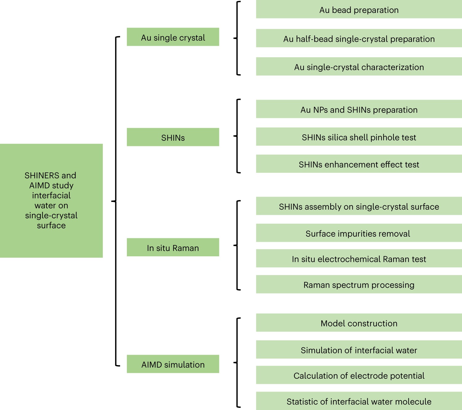 Fig. 1: Schematic representation.
