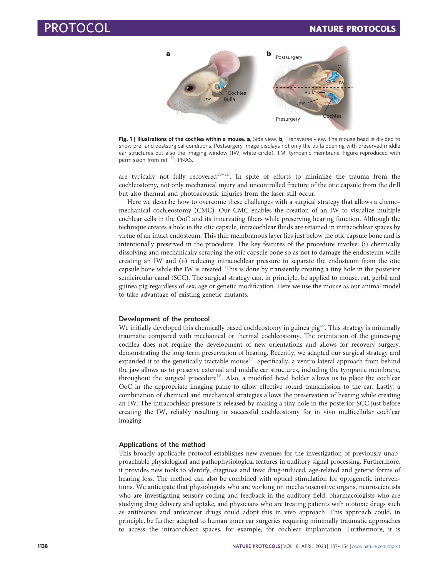 page-2
