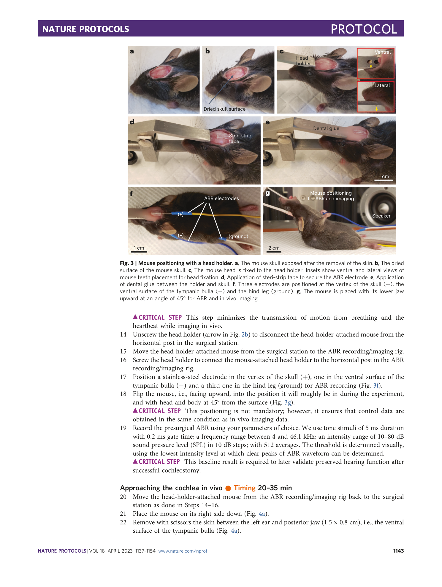 page-7