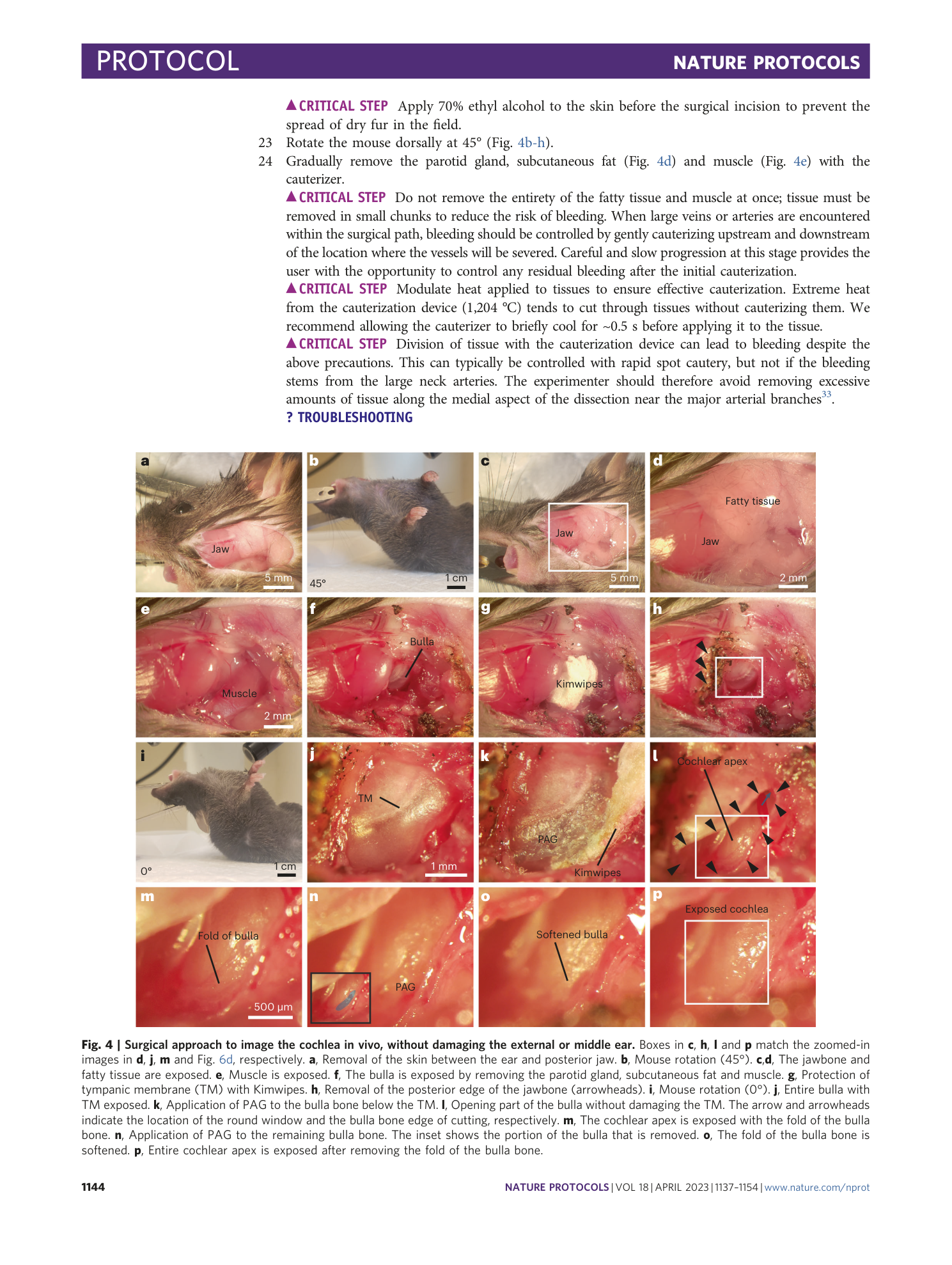 page-8