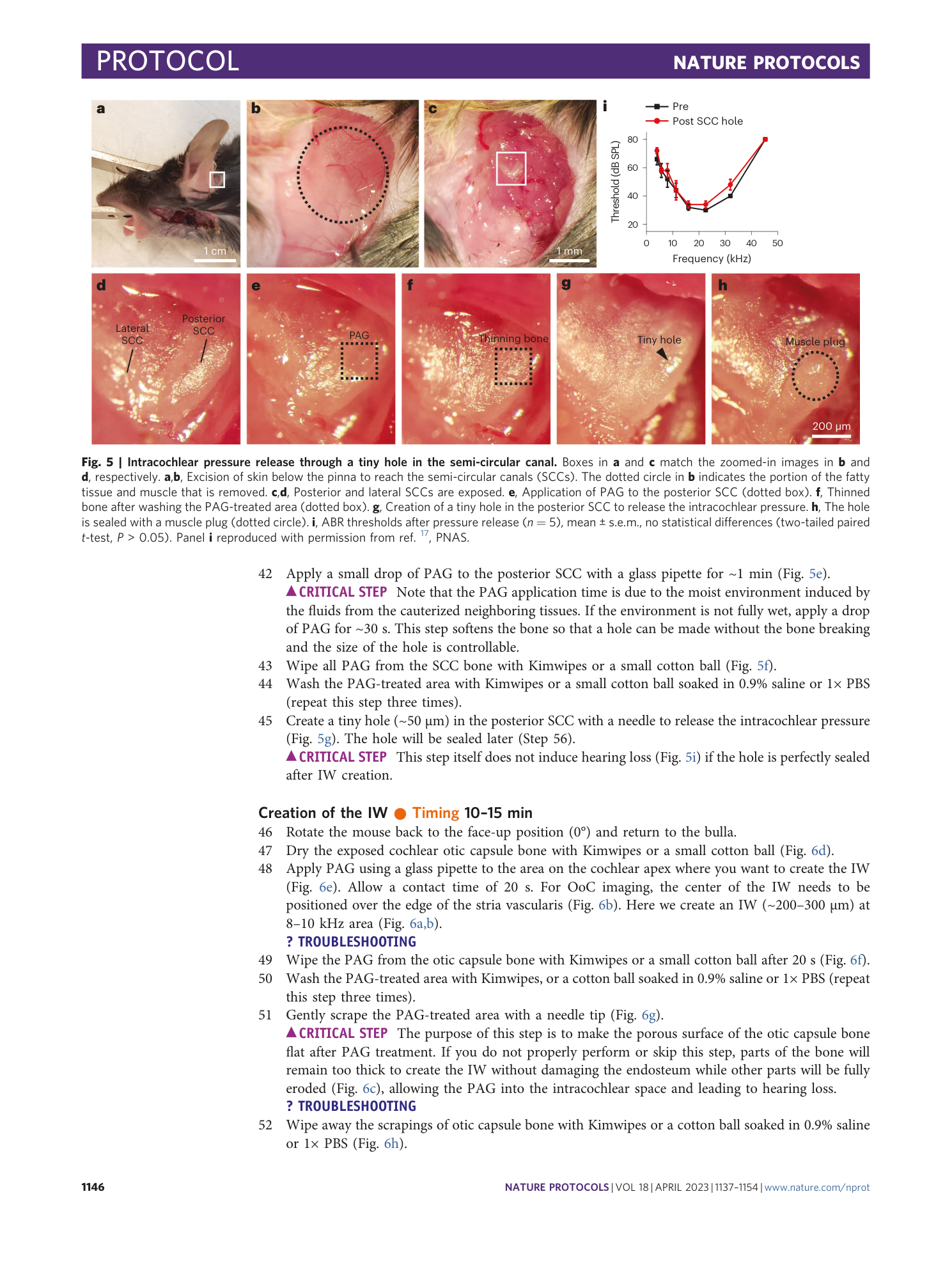 page-10