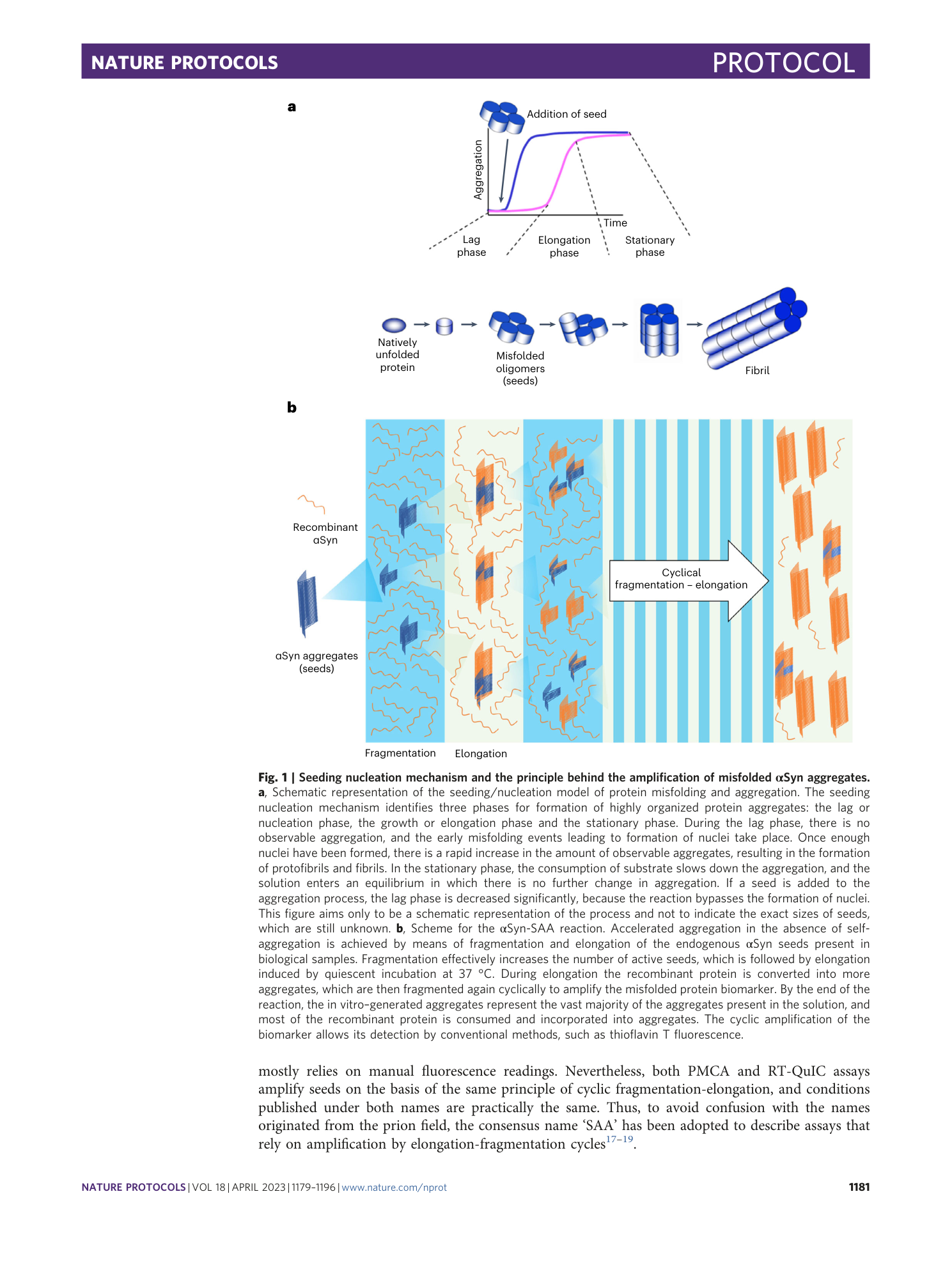page-3