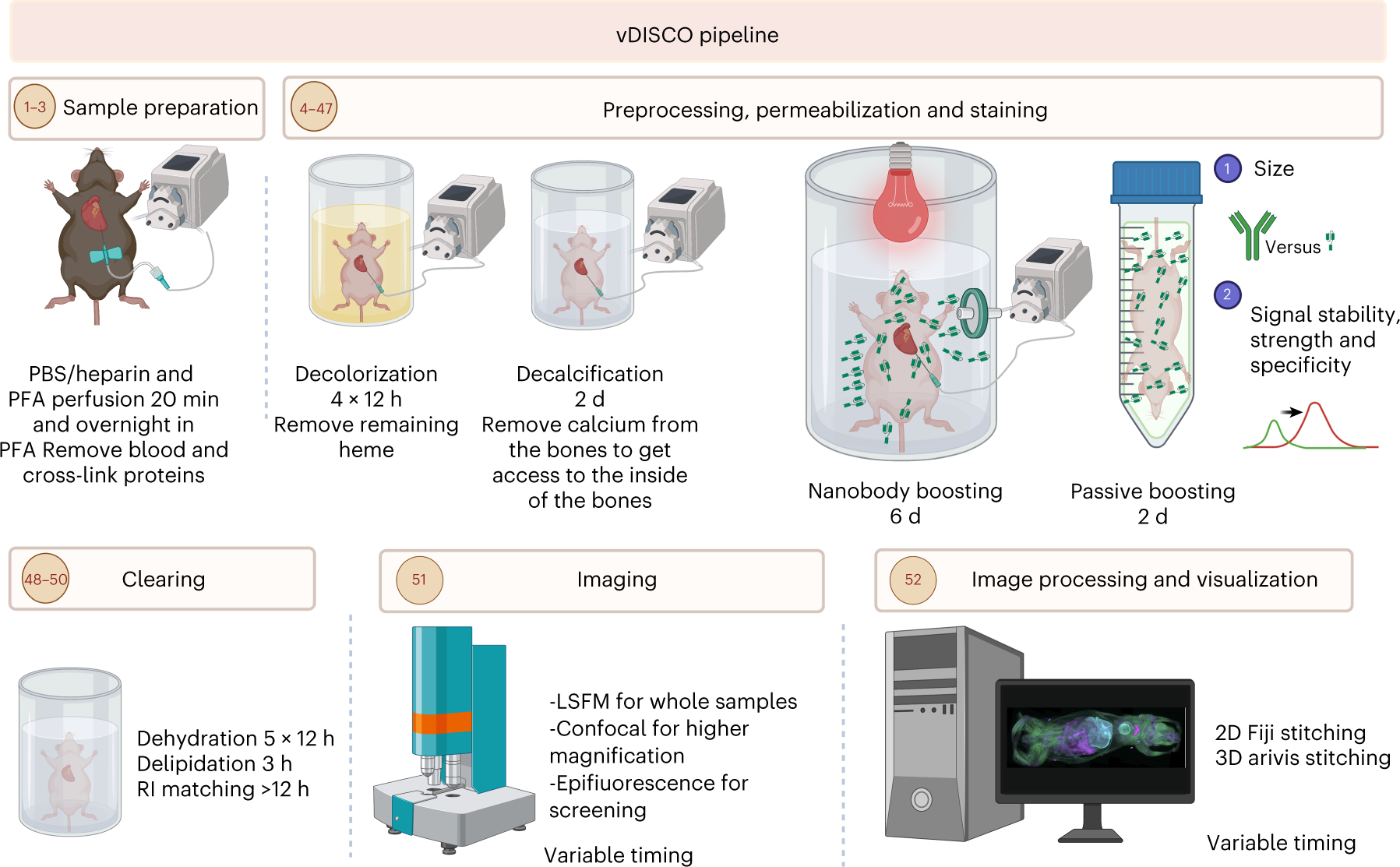 Fig. 1: Overview of the vDISCO pipeline.
