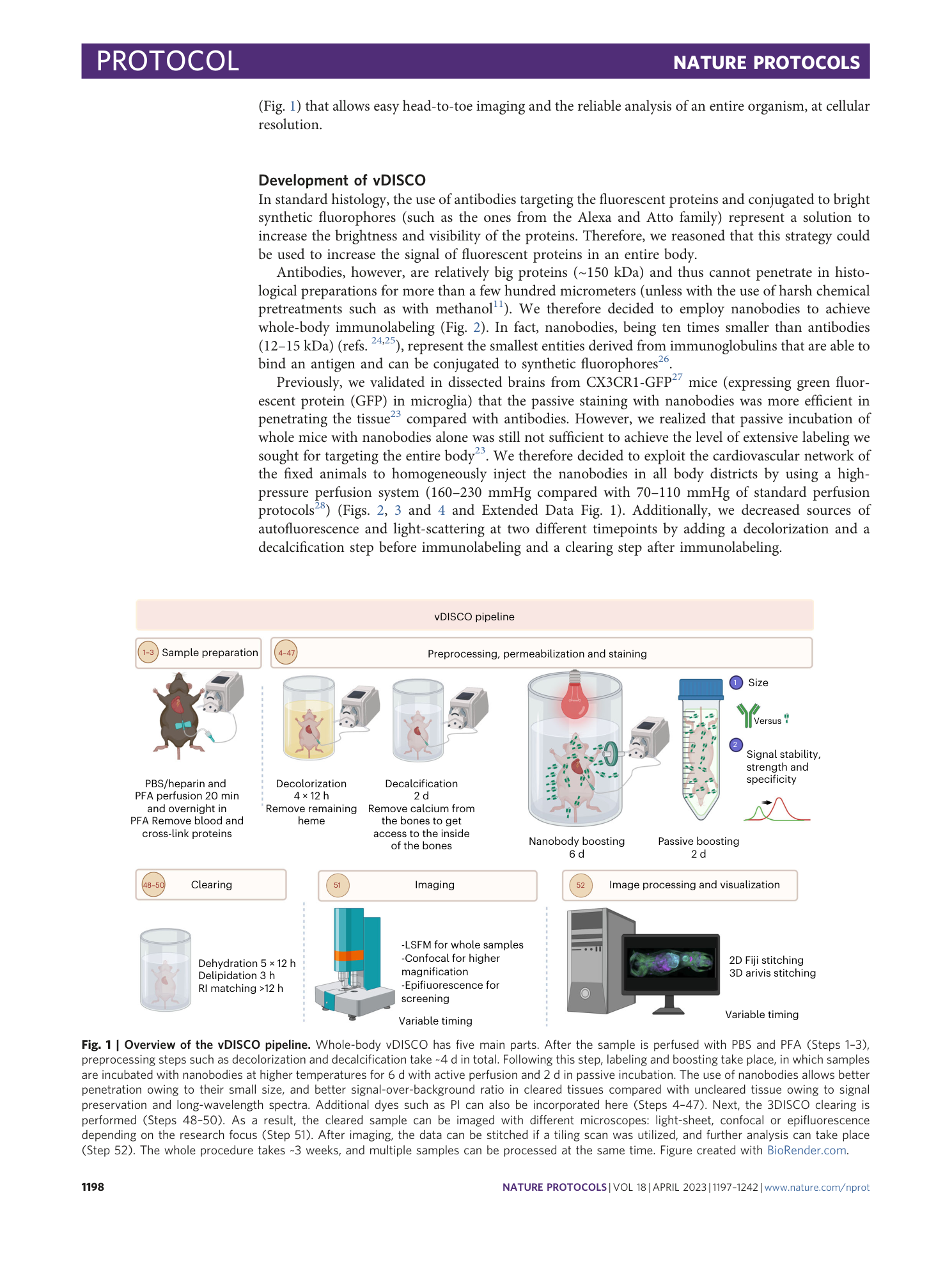 page-2