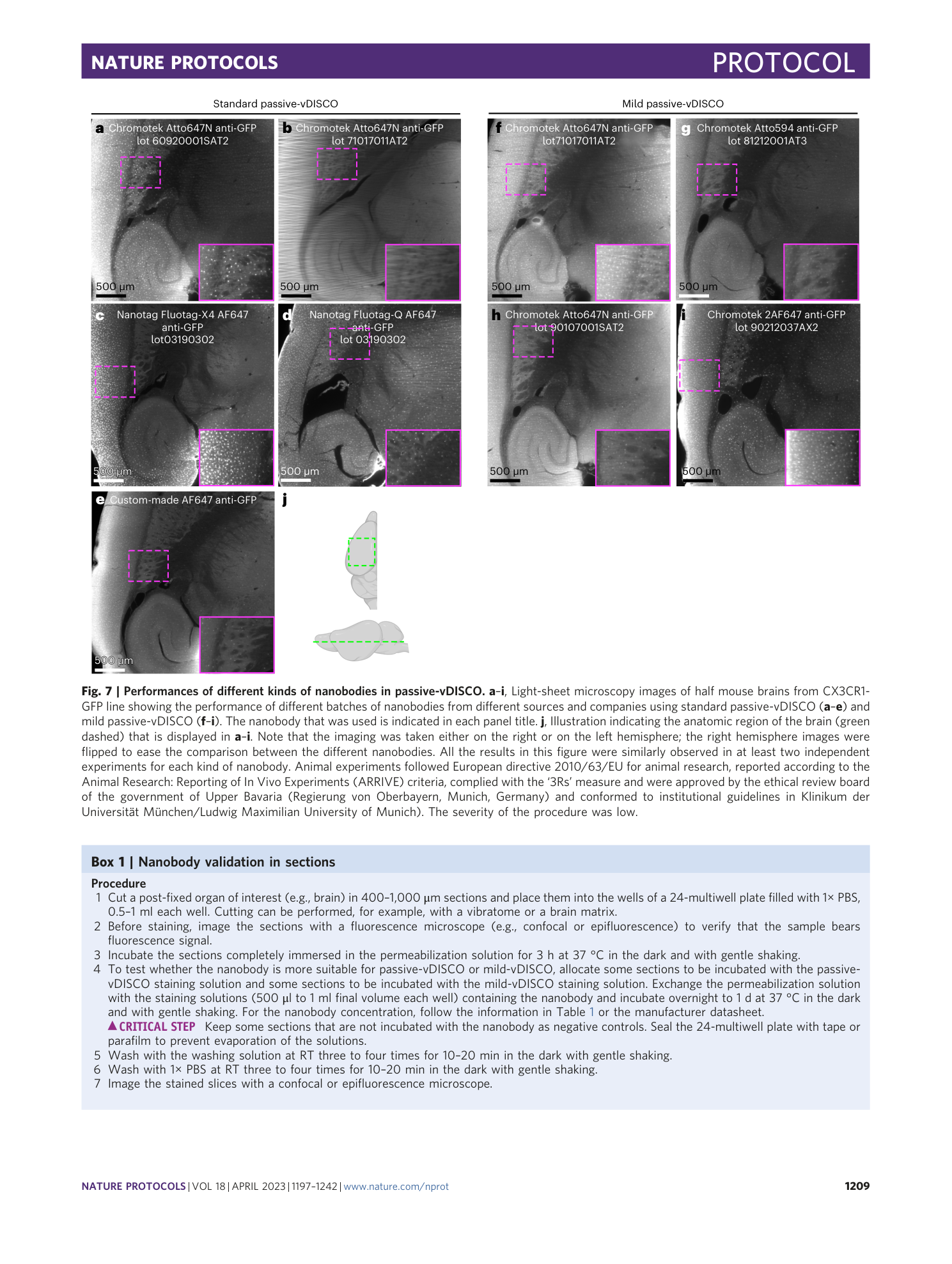 page-13
