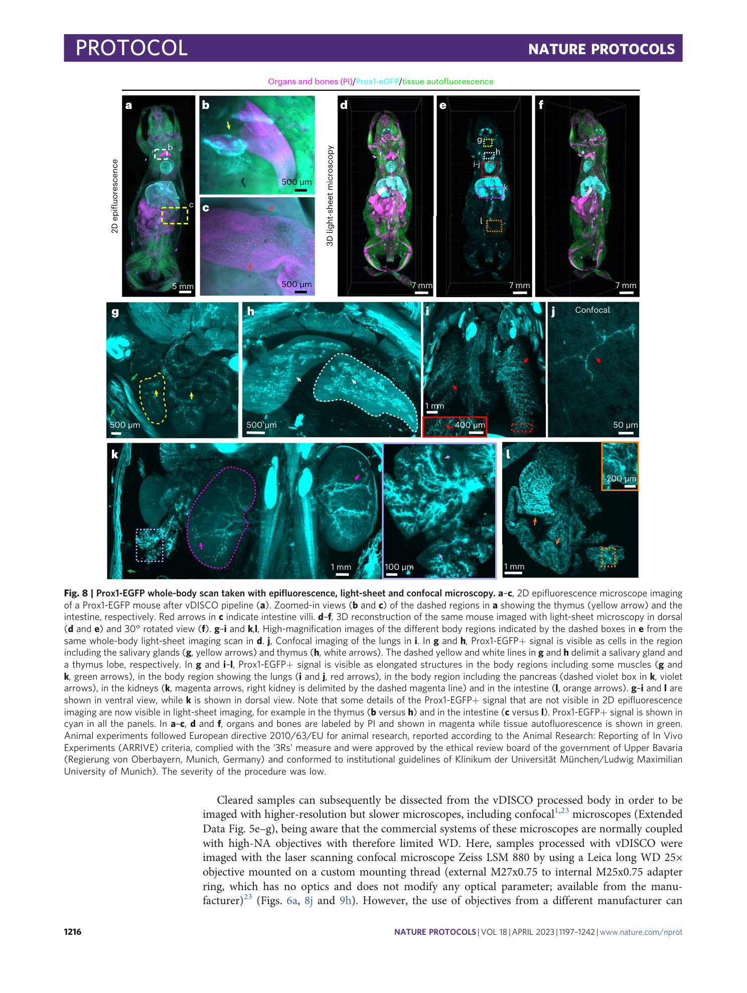 page-20