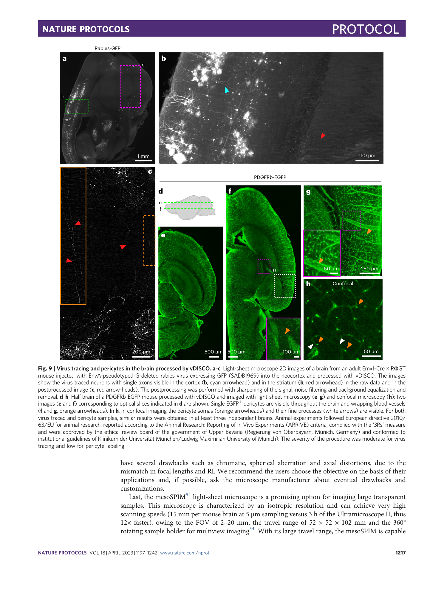 page-21