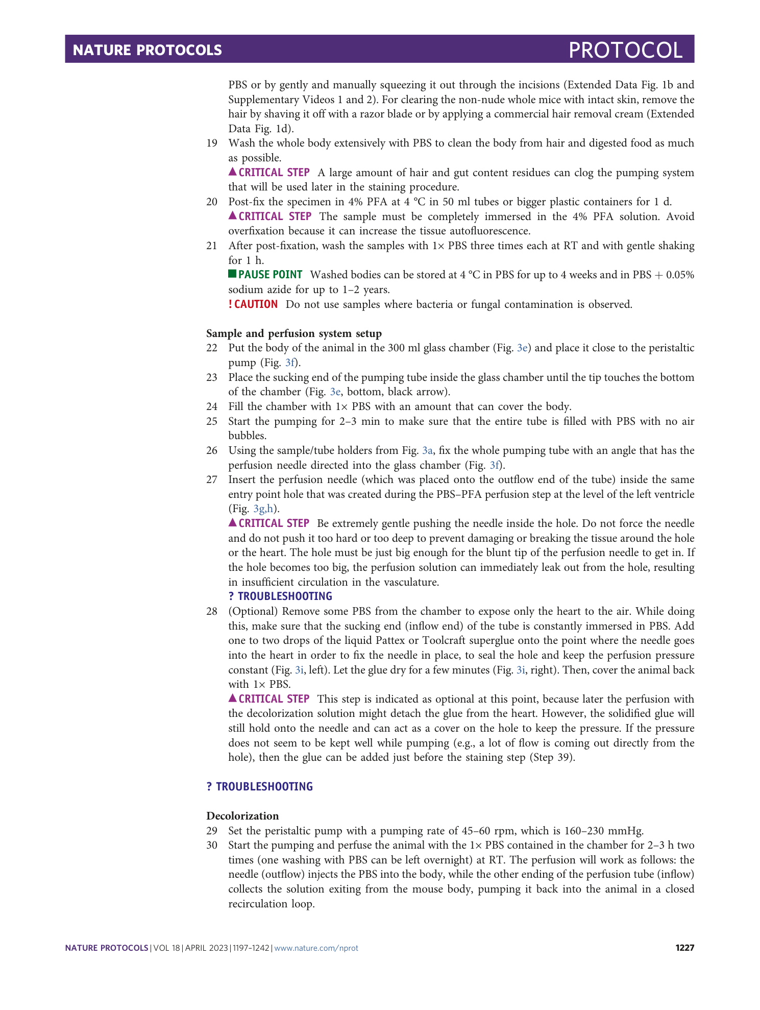 page-31