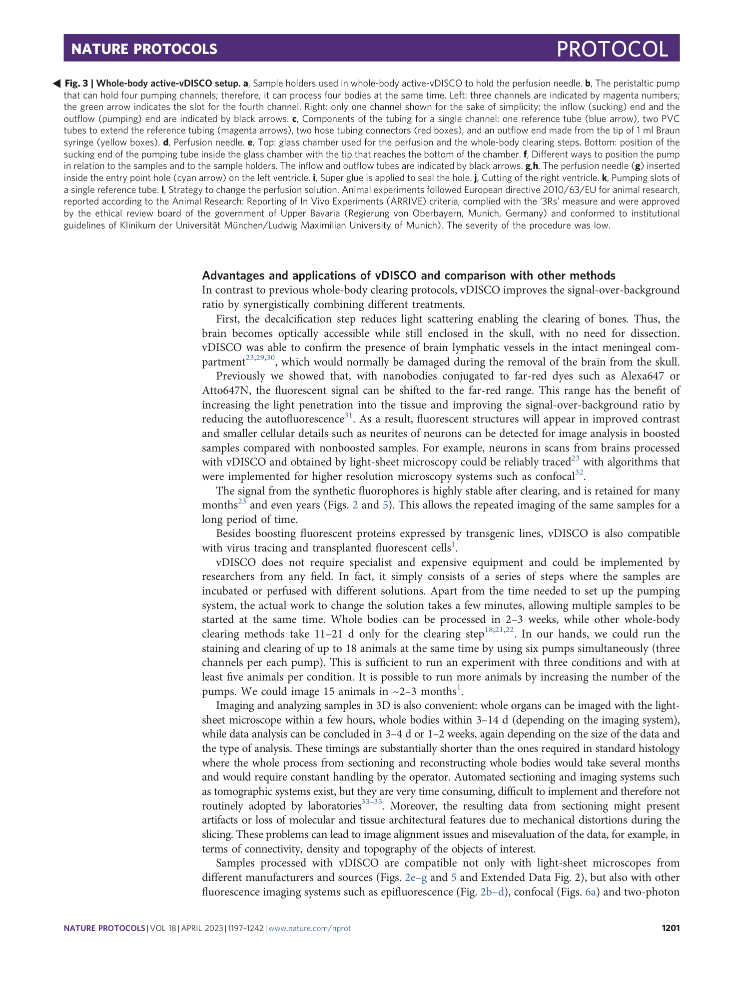 page-5