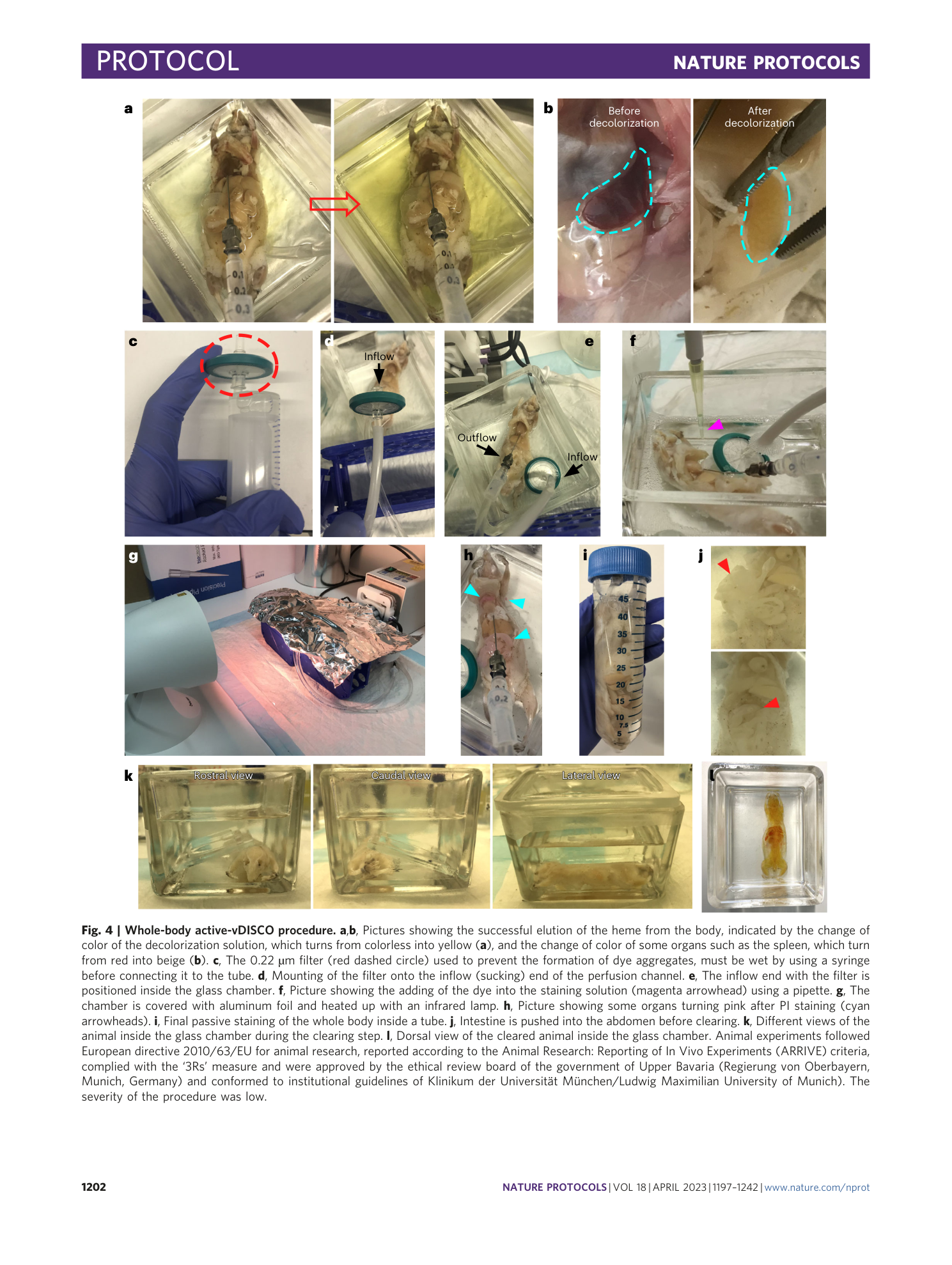 page-6