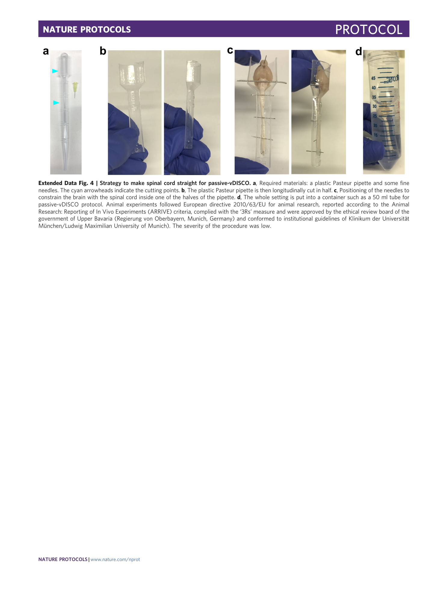 page-51