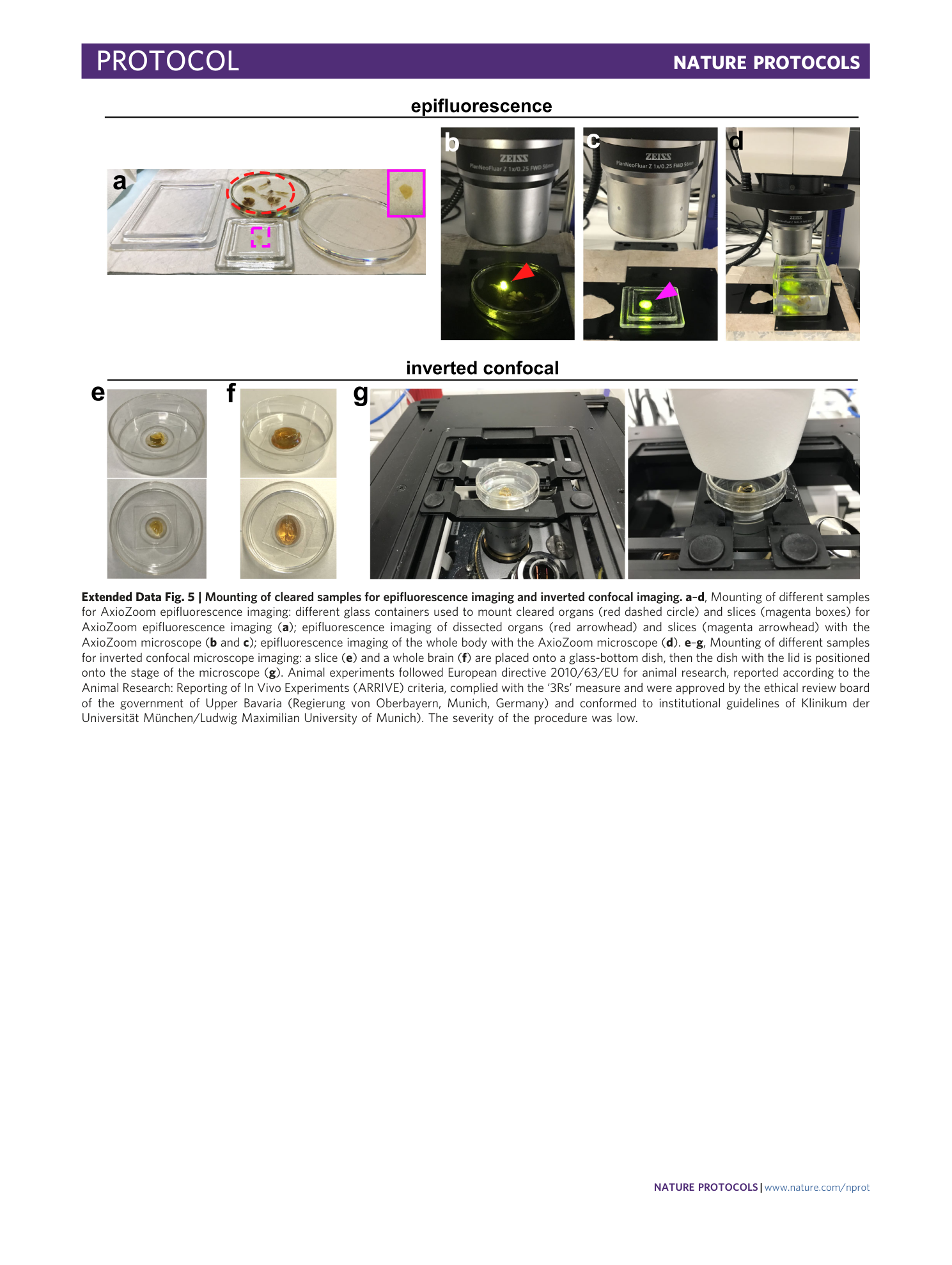 page-52