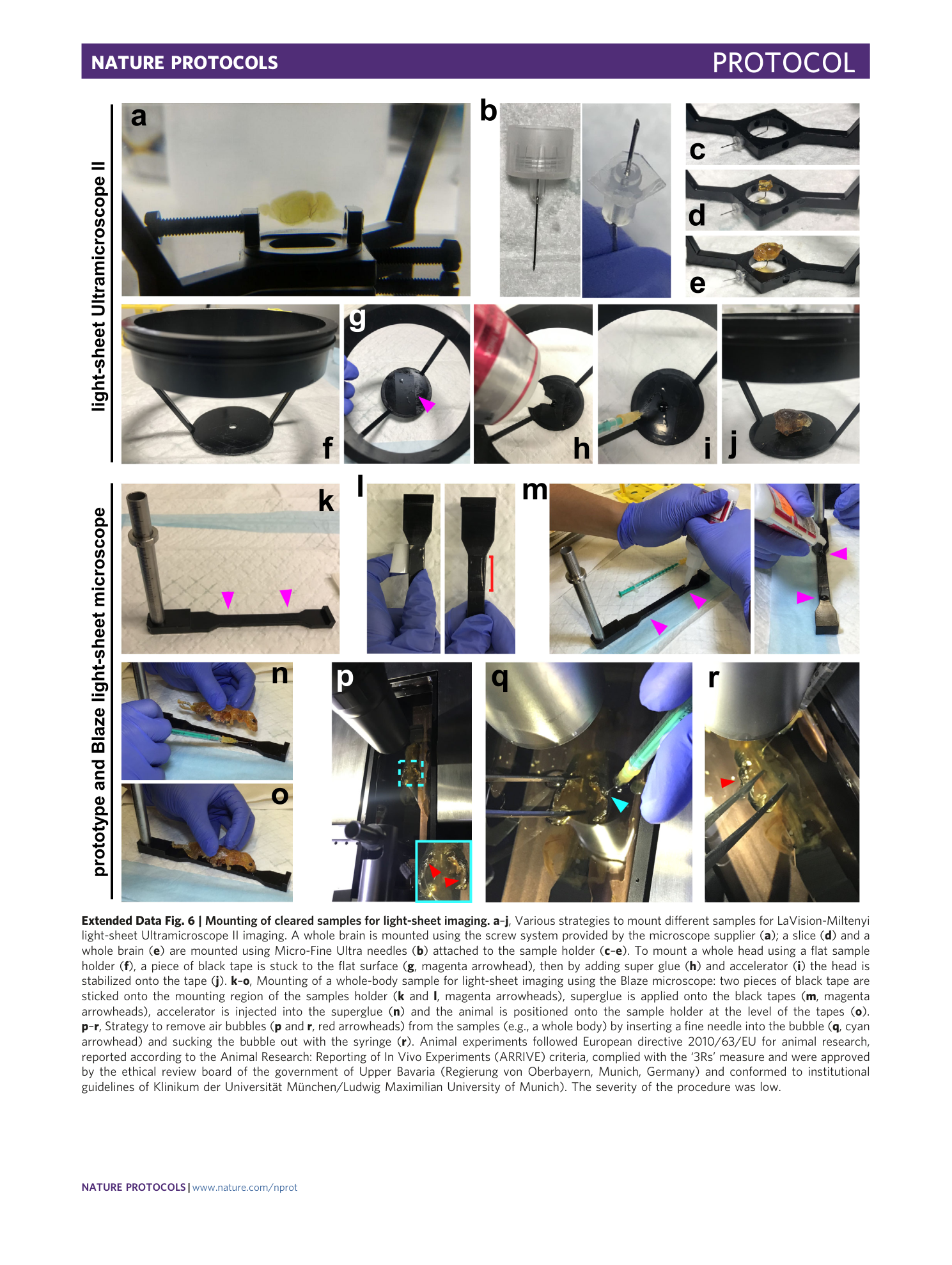 page-53