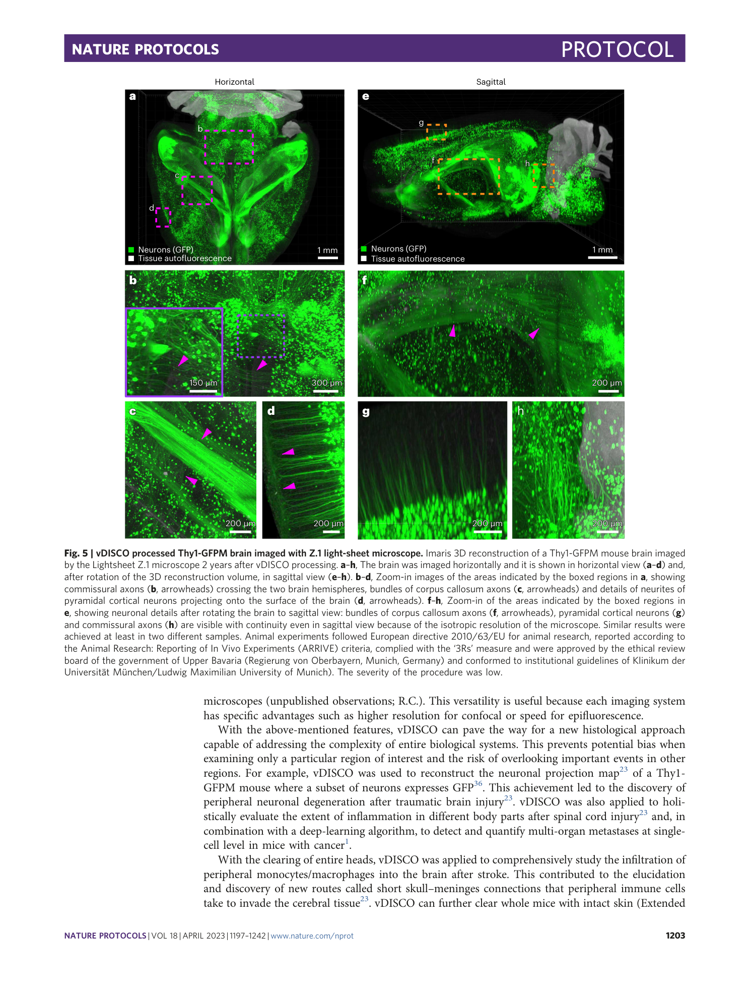 page-7