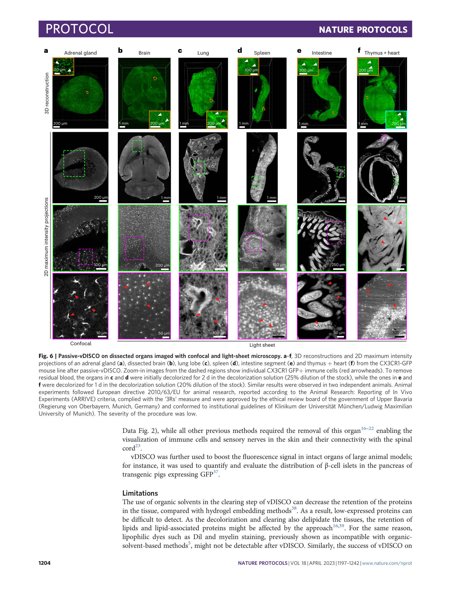 page-8