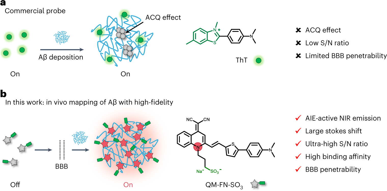 Fig. 1: Comparison of QM-FN-SO3 with extensively used ThT for sensing Aβ aggregates.