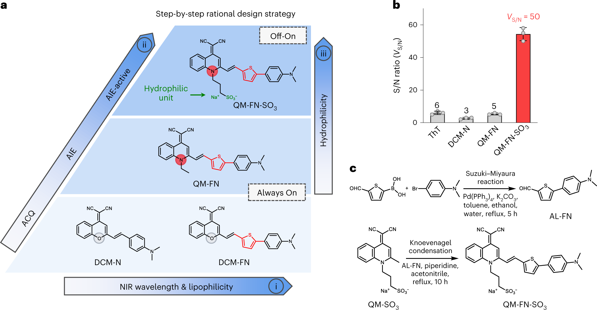 Fig. 2: Step-by-step strategy for building up probes enabling ultrasensitive in vivo mapping of Aβ plaques.