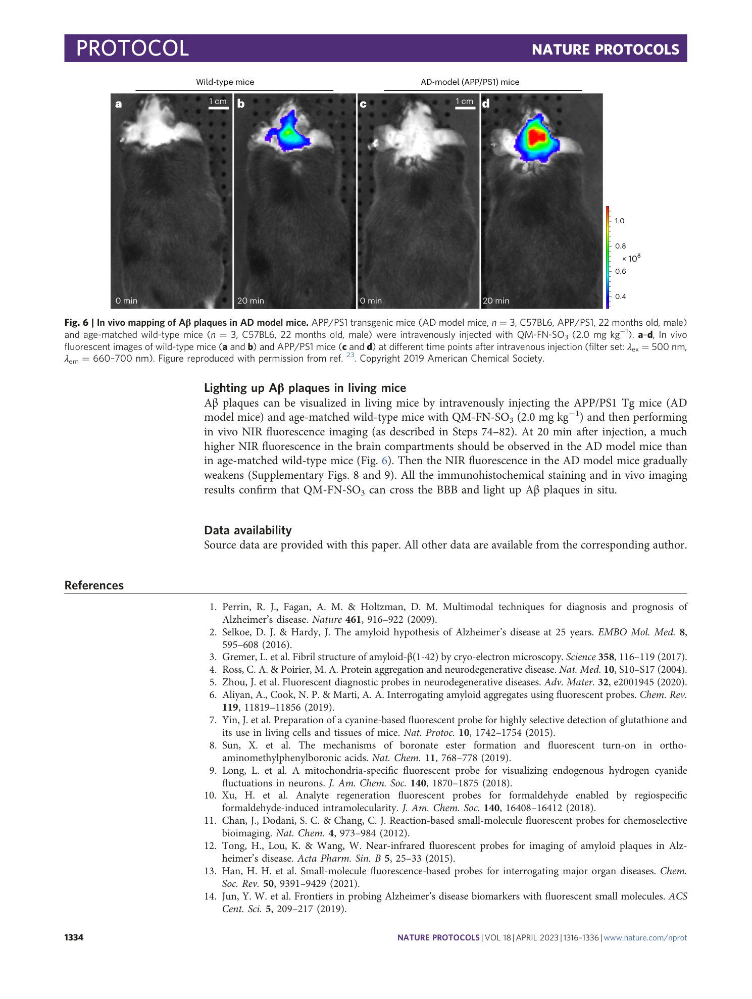 page-19