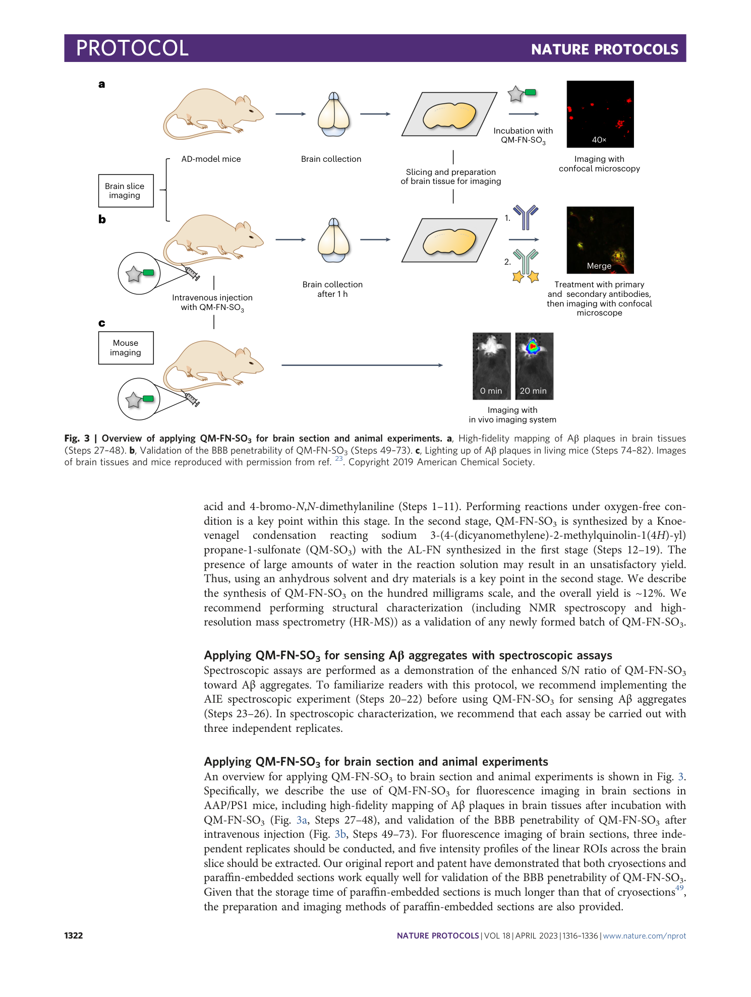 page-7