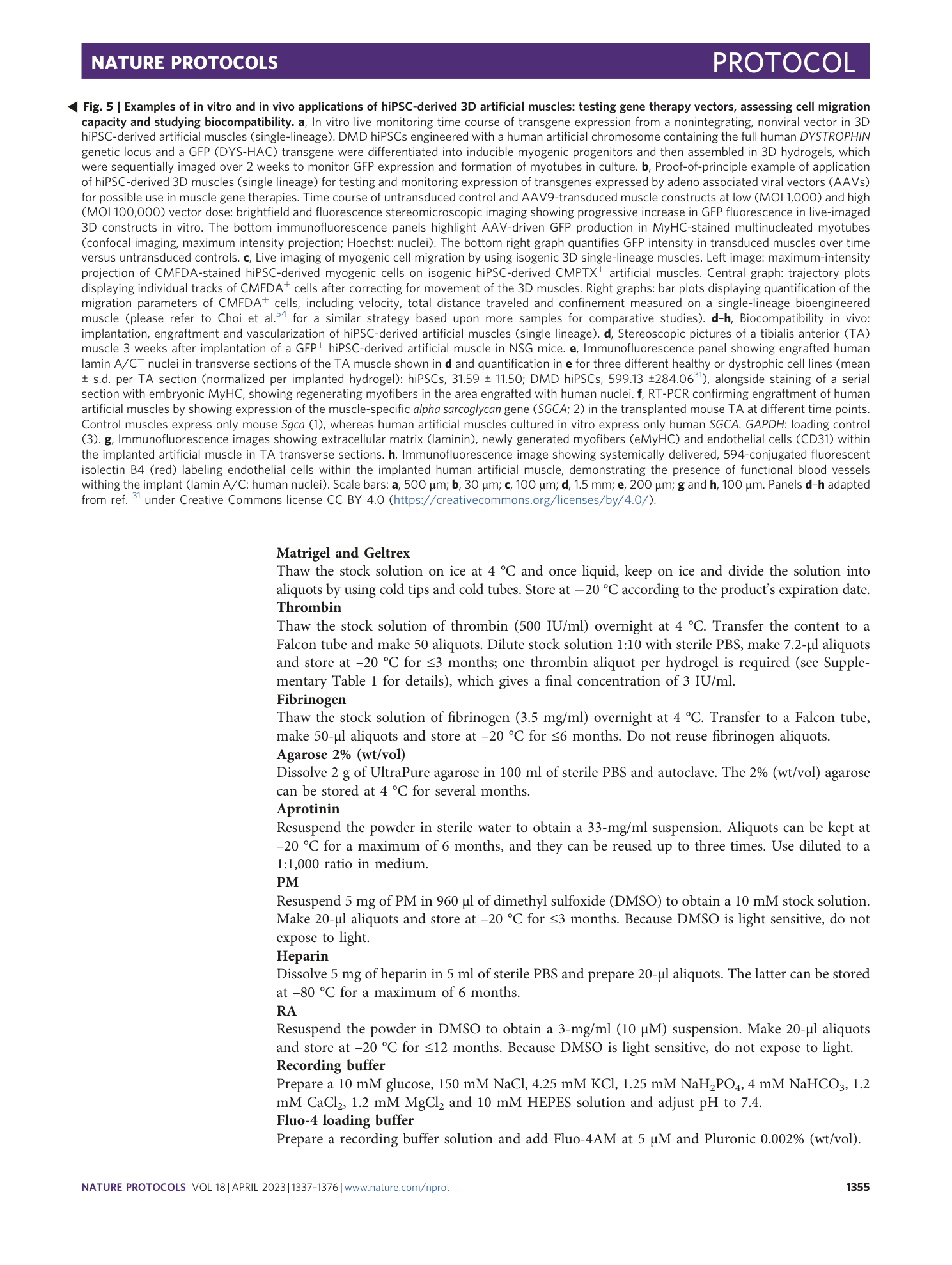 page-19