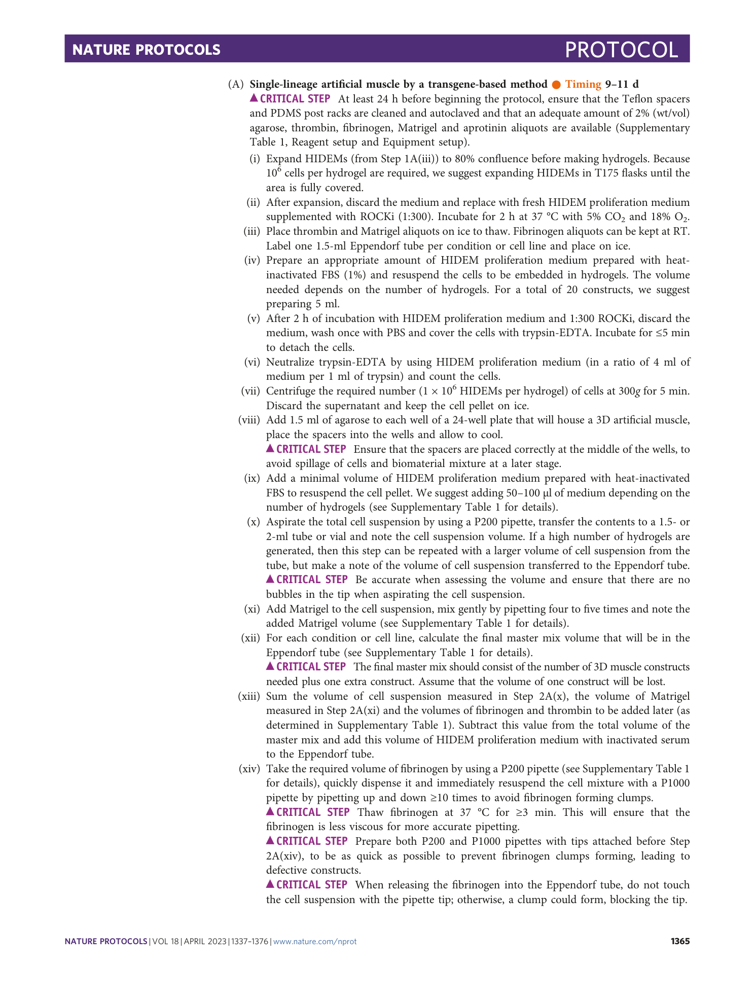page-29