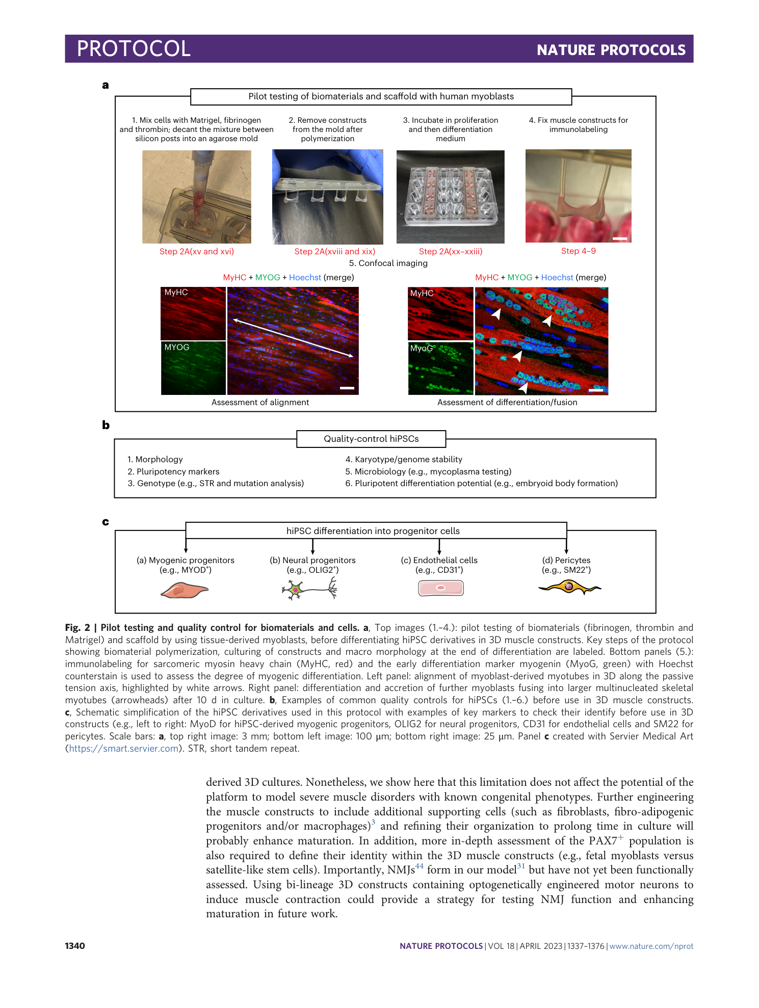 page-4