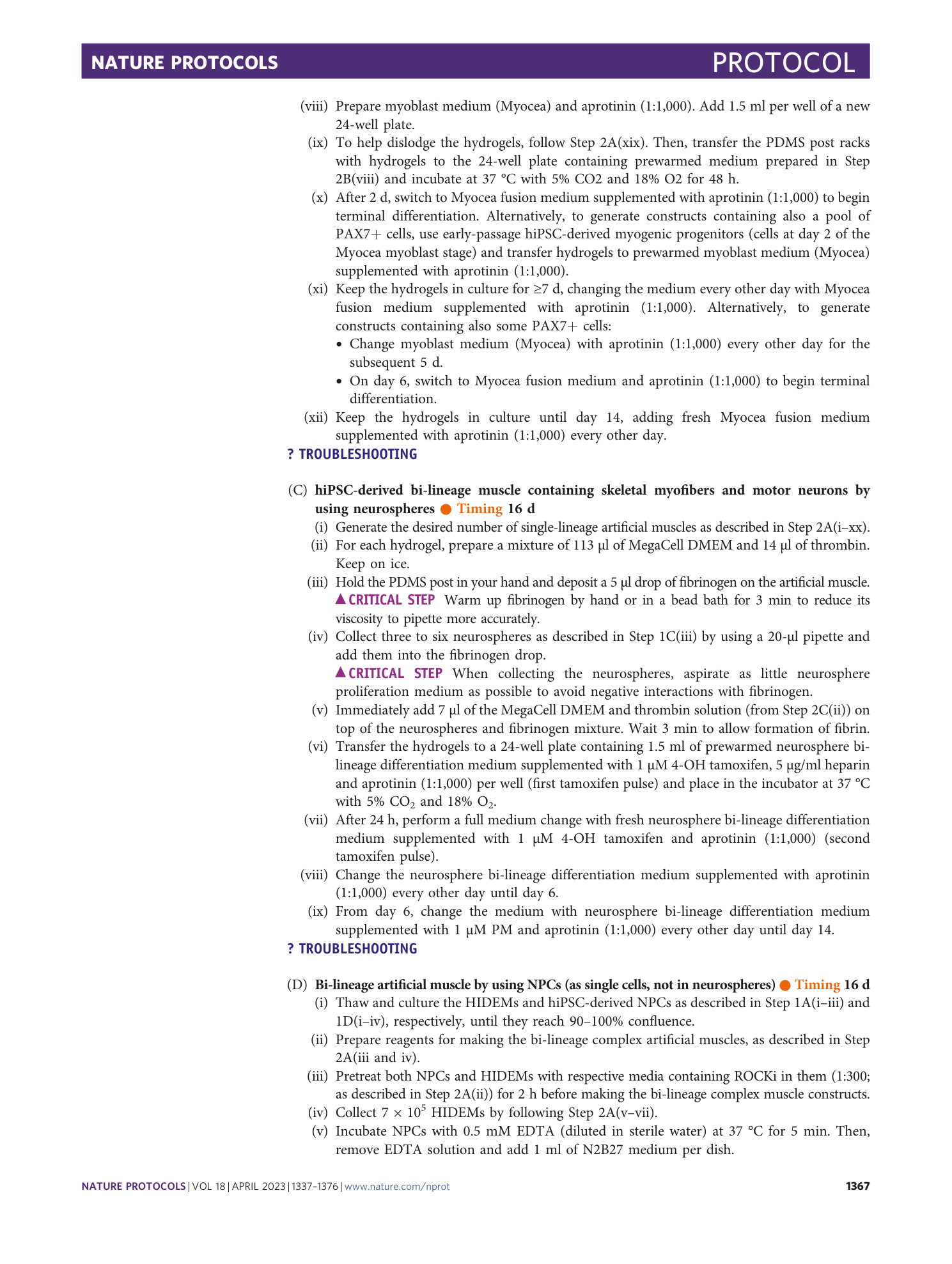 page-31