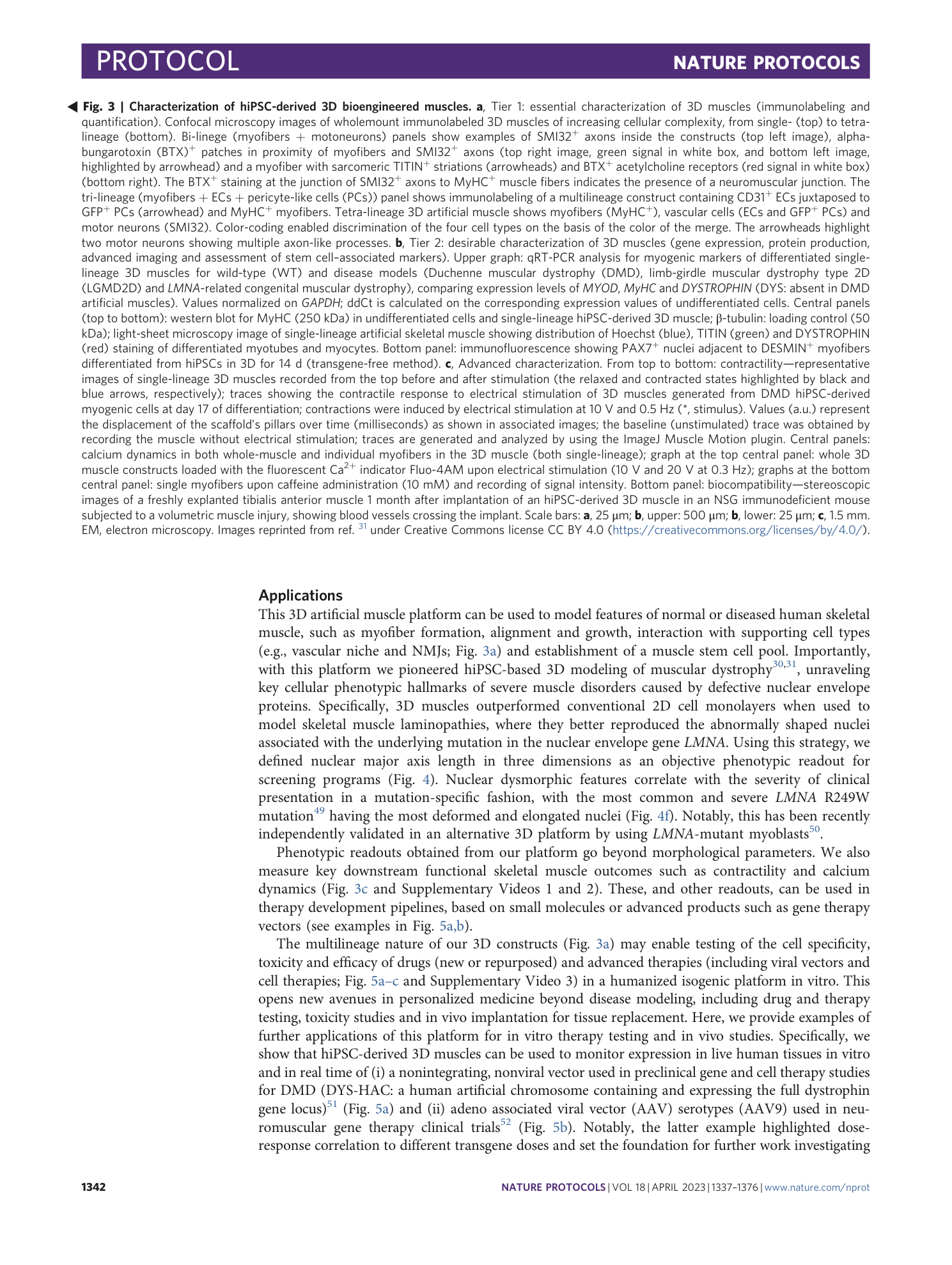 page-6