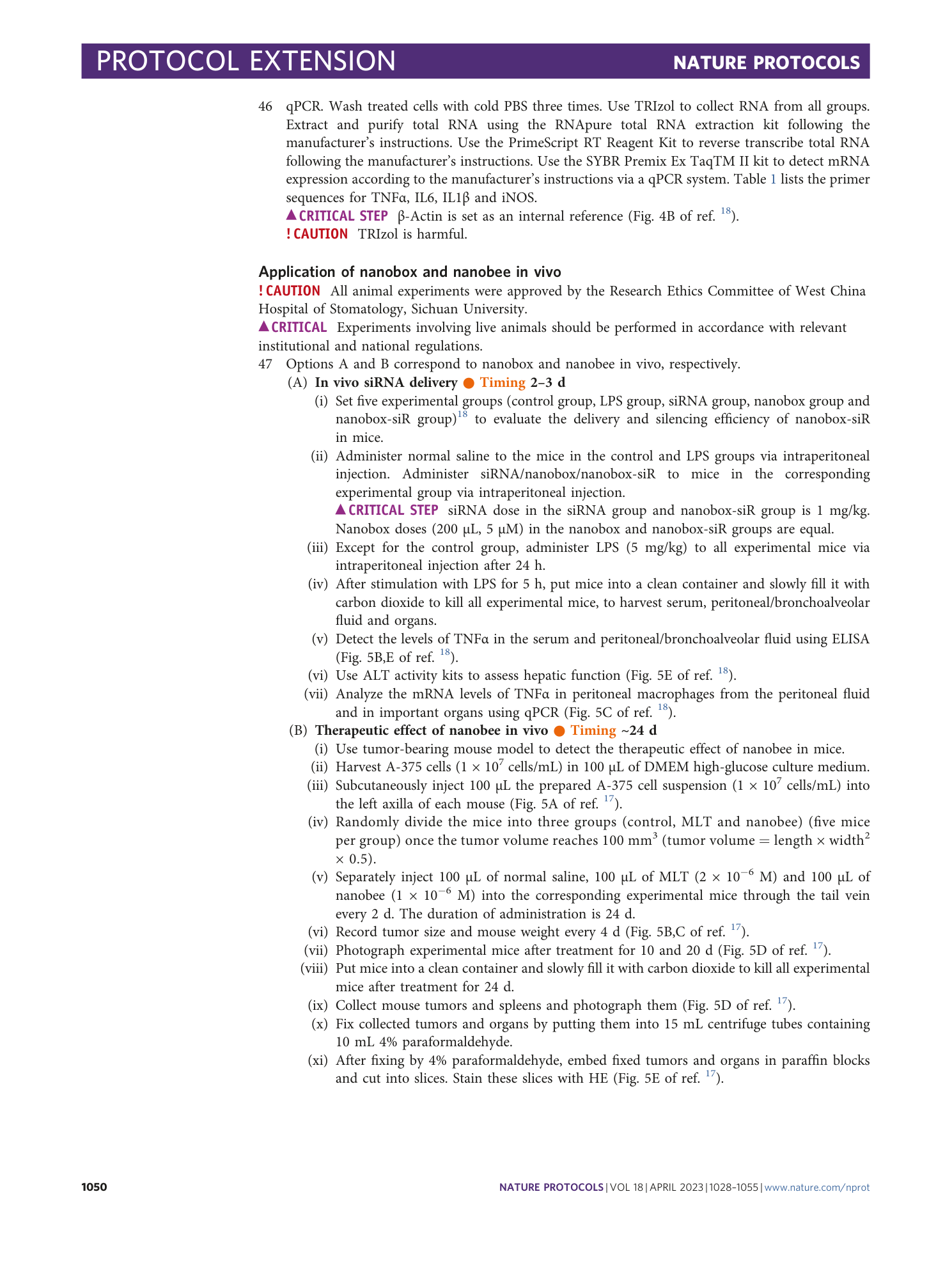 page-23
