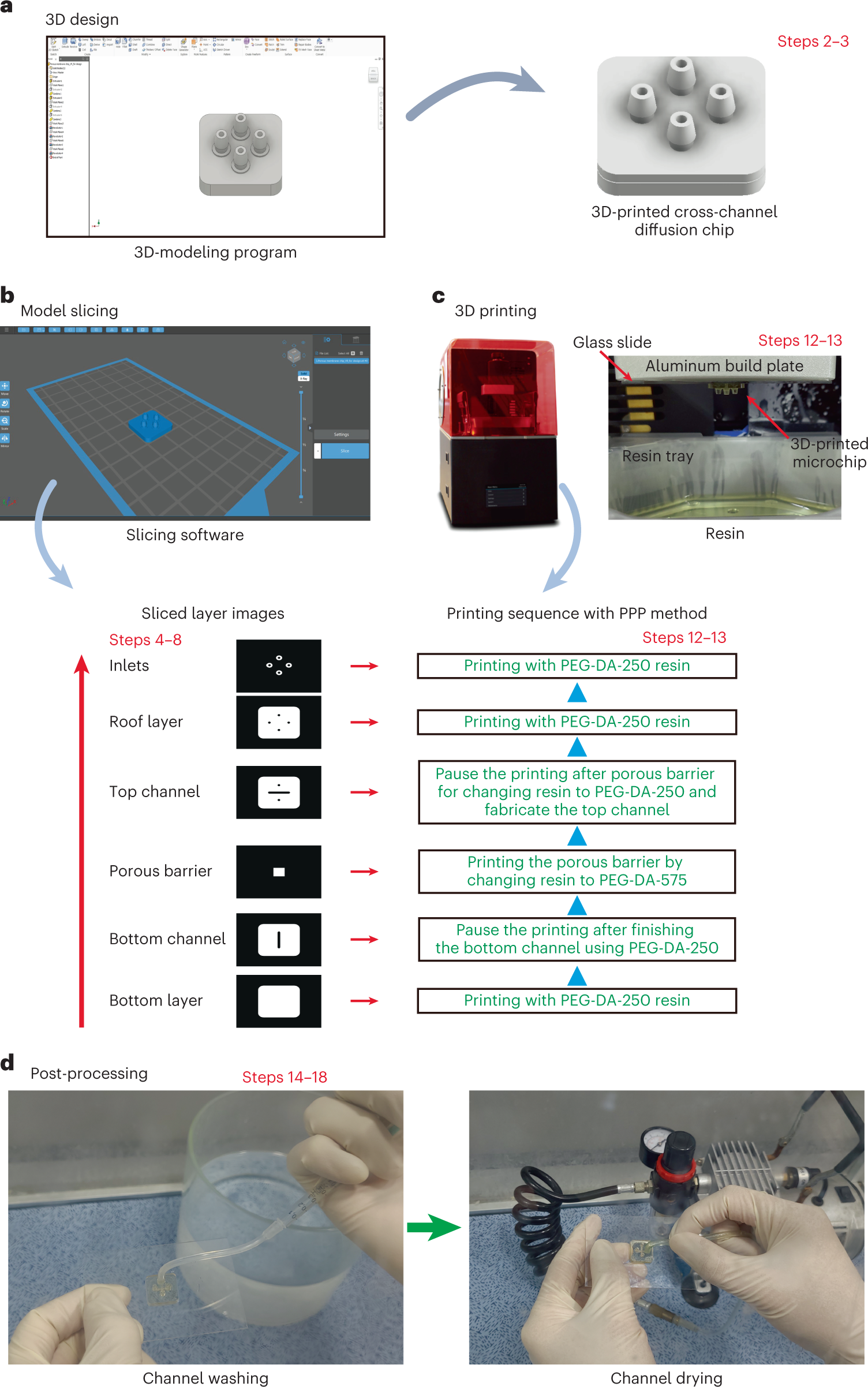 Fig. 1: Stereolithographic 3D-printing procedure for fabricating a microfluidic chip.