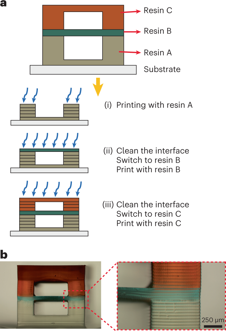 Fig. 2: PPP protocol for 3D-printing microfluidic devices by stereolithography.