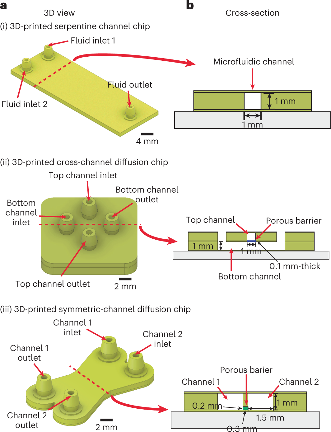 Fig. 3: Schematic drawing of the 3D view and cross-section of the 3D-printed microfluidic chips.