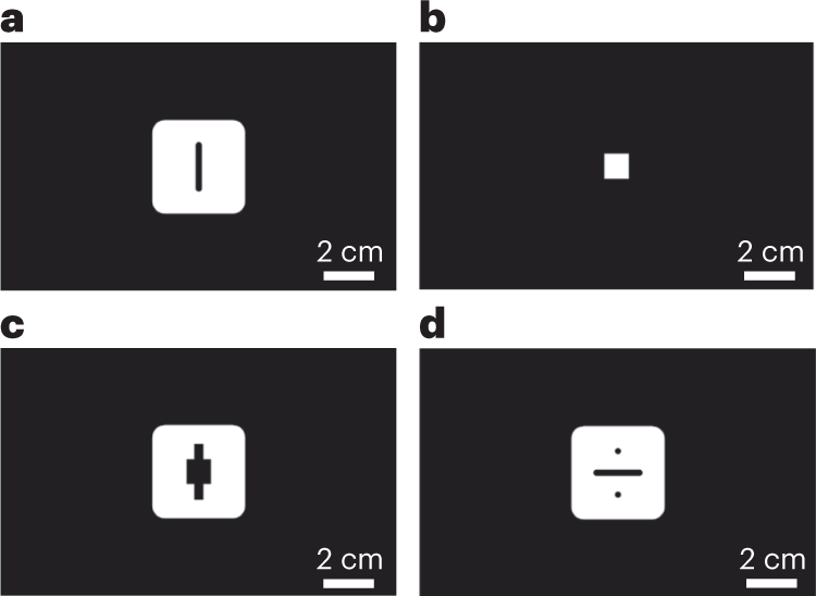 Fig. 5: Selected sliced layer images of the 3D-printed cross-channel diffusion chip obtained using slicing software (Autodesk Print Studio) as in Steps 4 and 5.