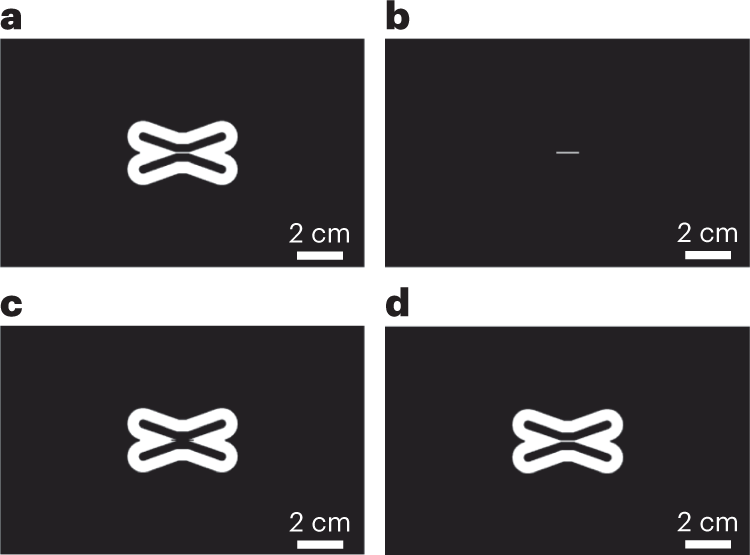 Fig. 6: Selected sliced layer images of the 3D-printed symmetric channel diffusion chip obtained using slicing software (Autodesk Print Studio) as in Steps 4 and 5.