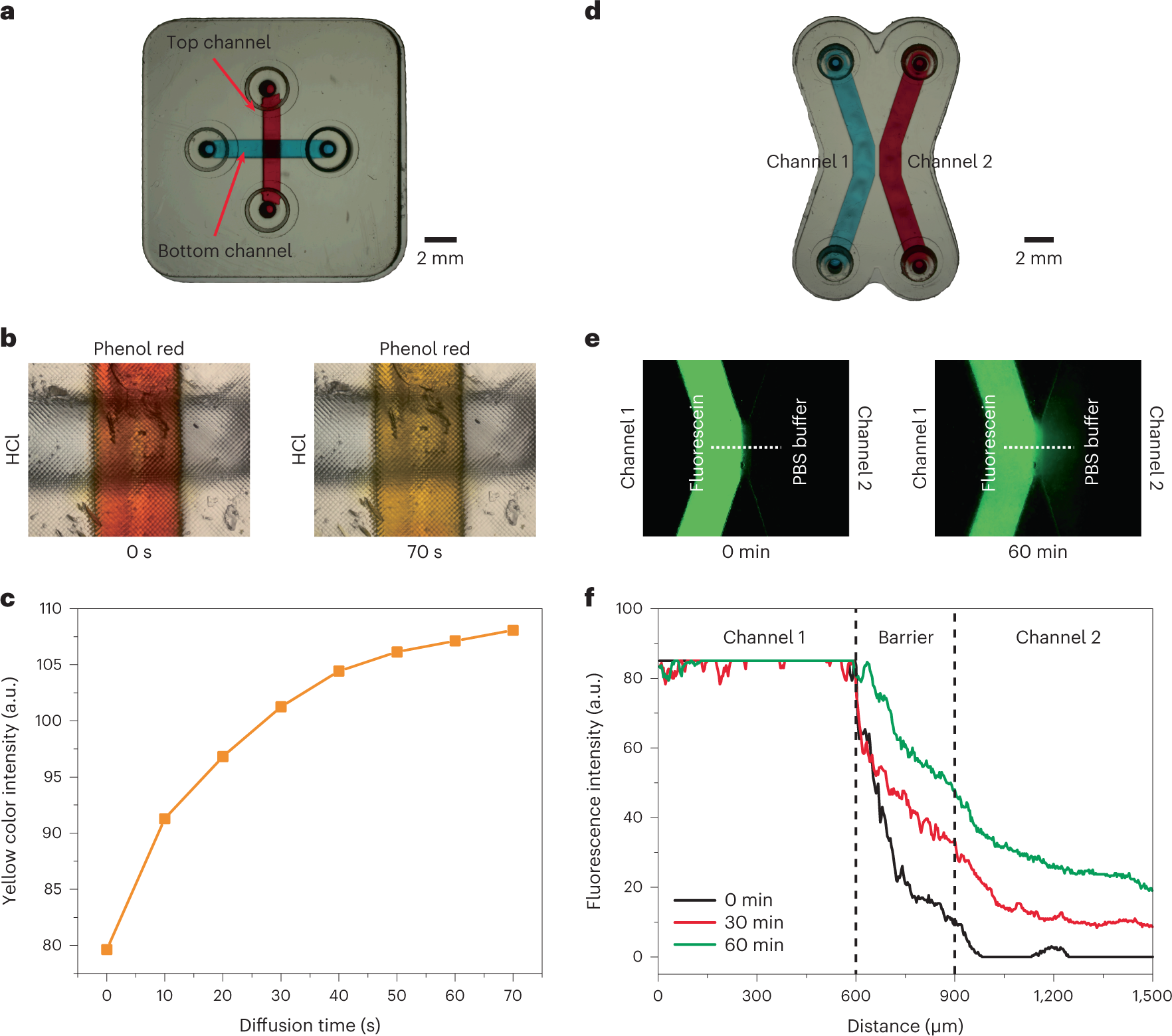 Fig. 8: Results of the molecule diffusion test with both cross-channel diffusion chip and symmetric-channel diffusion chip.