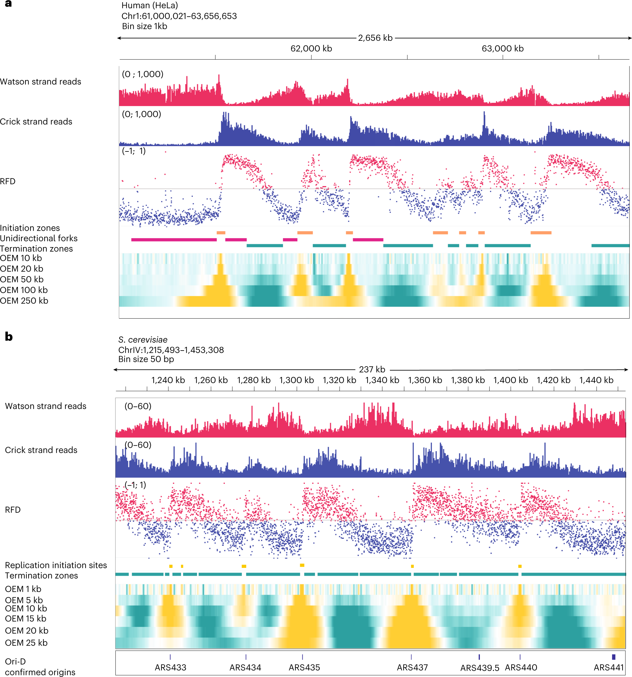 Fig. 3: Representative results for OK-seq.