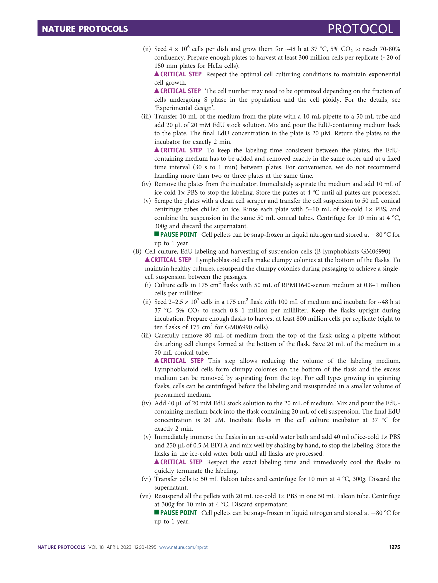 page-16