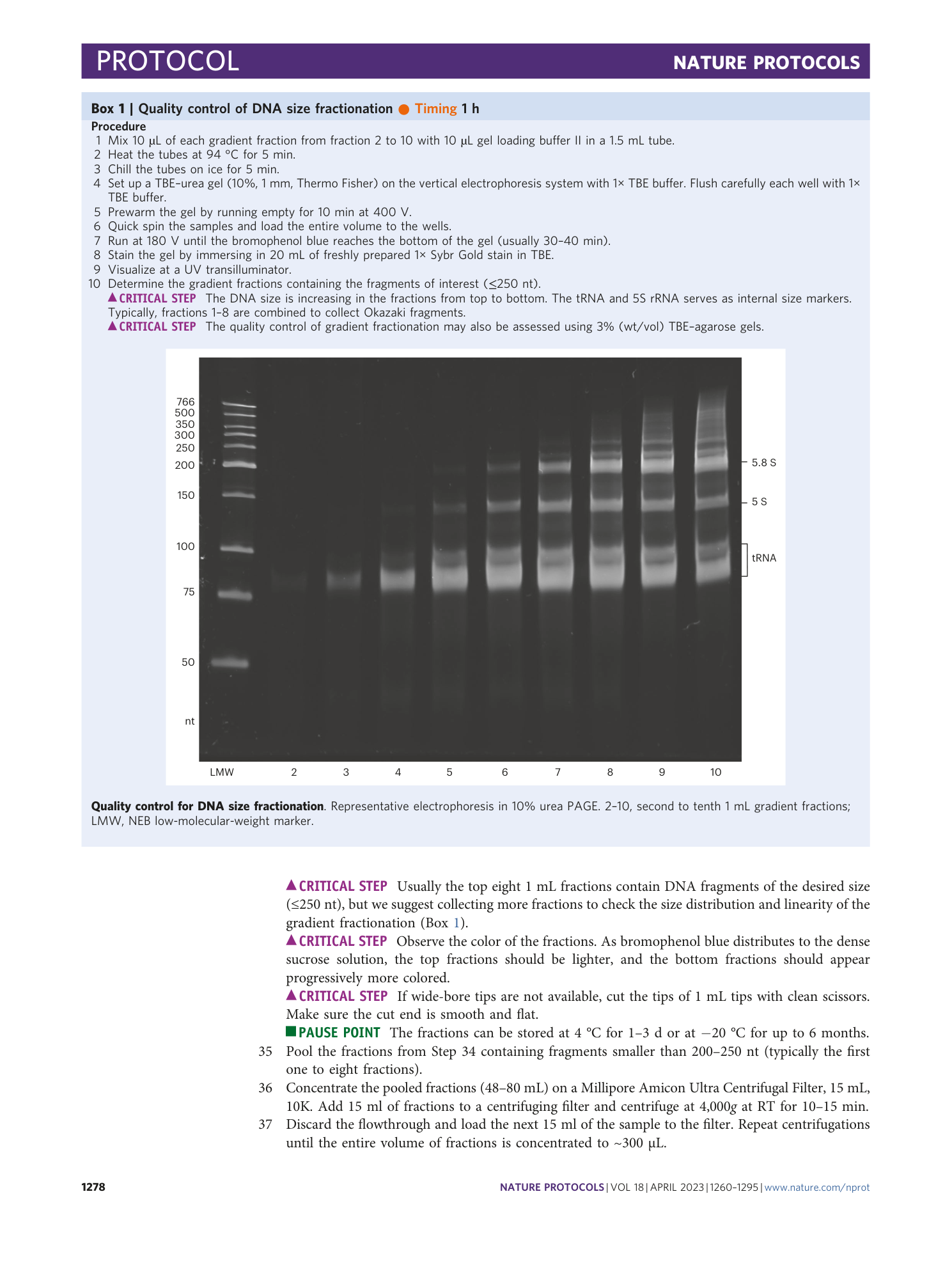 page-19