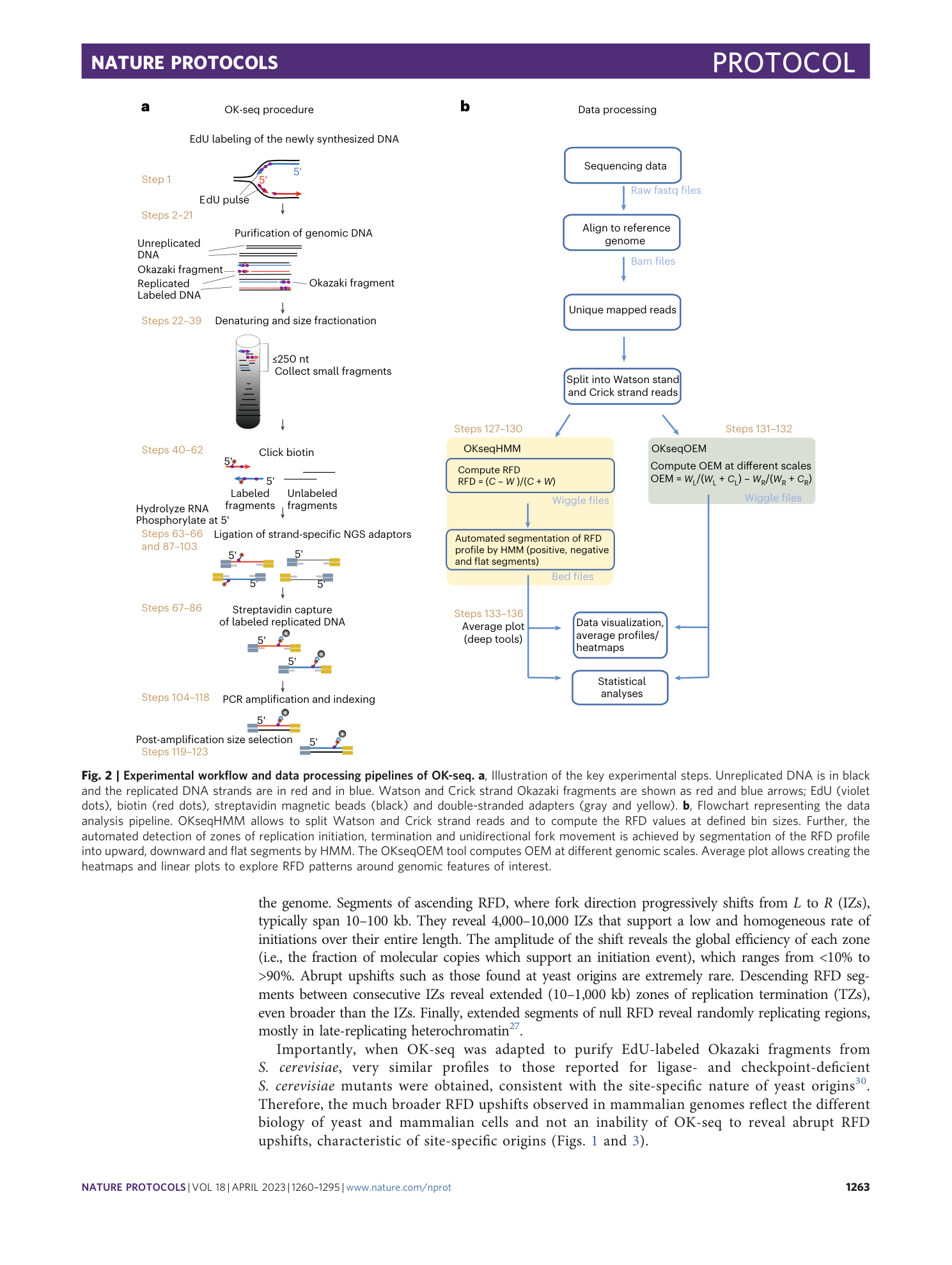 page-4