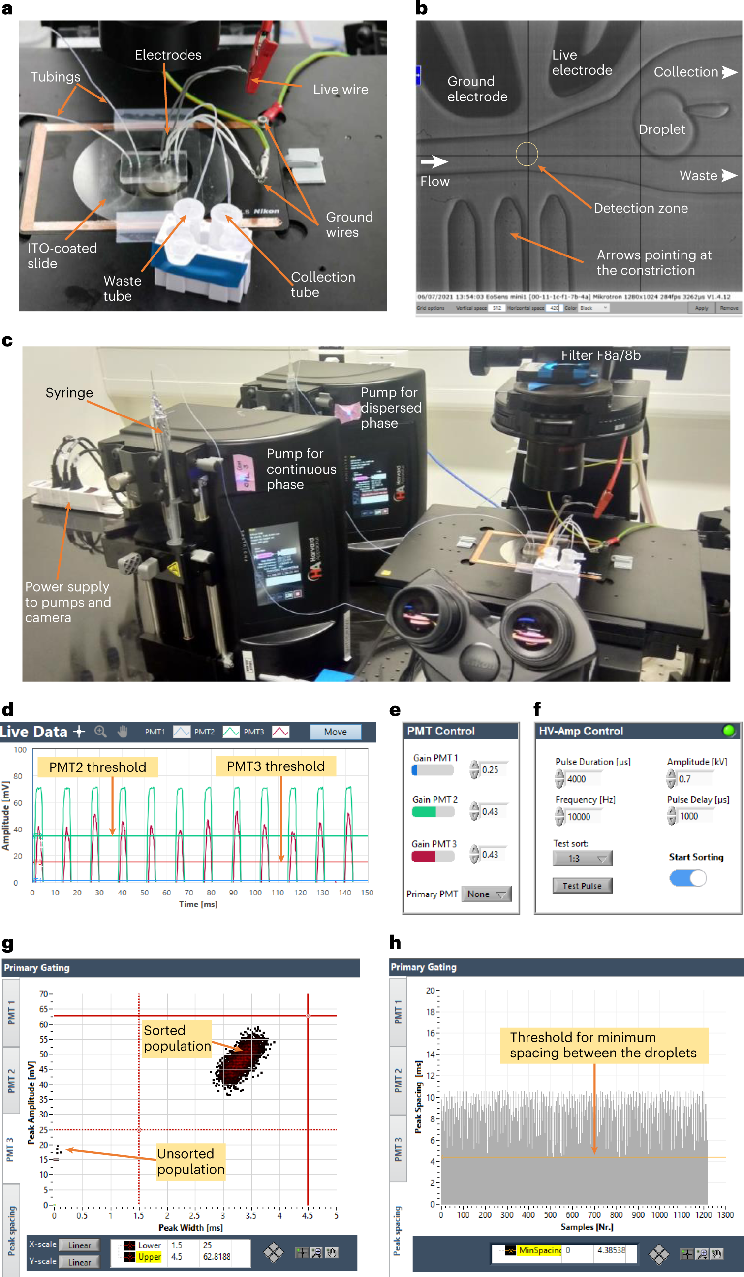 Fig. 15: Droplet sorting initialization.