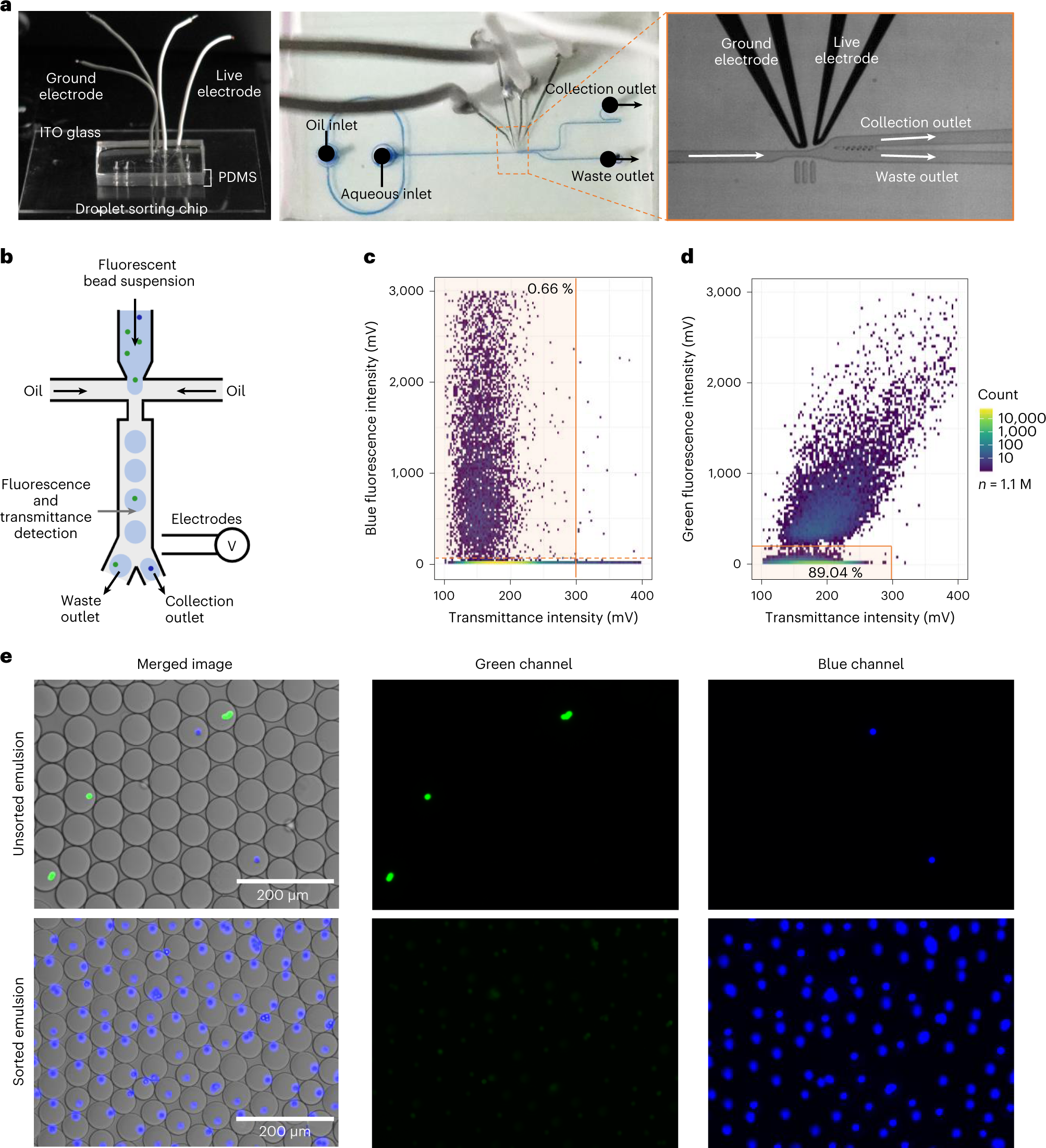 Fig. 17: Fluorescent beads sorting experiment.