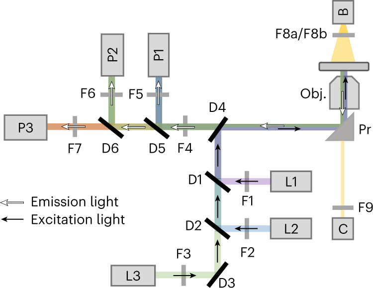 Fig. 2: Ray diagram.