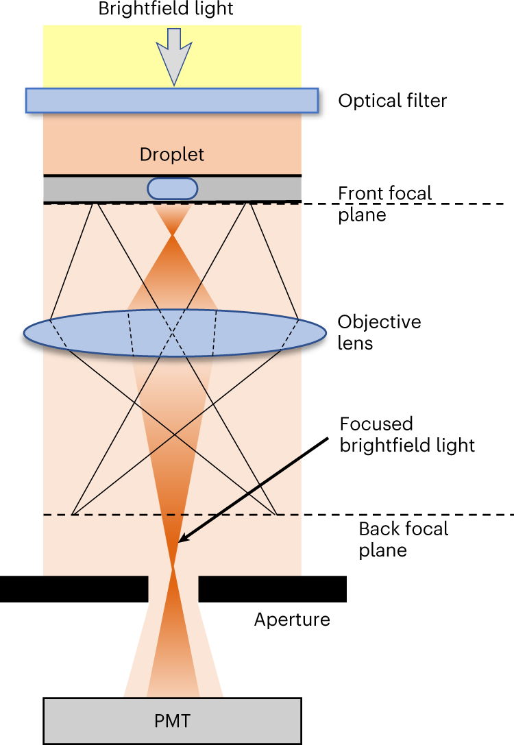 Fig. 3: Droplet lensing.