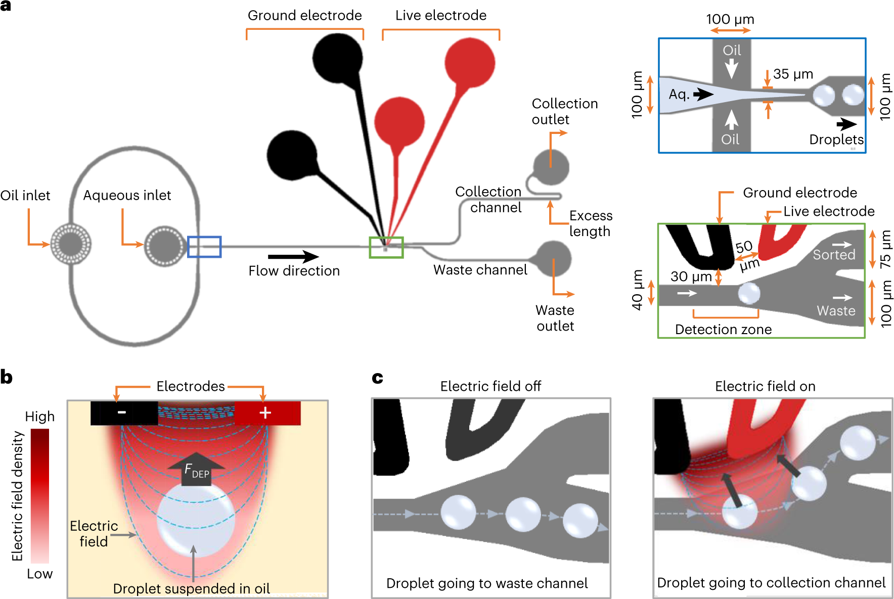 Fig. 4: Droplet sorting chip.