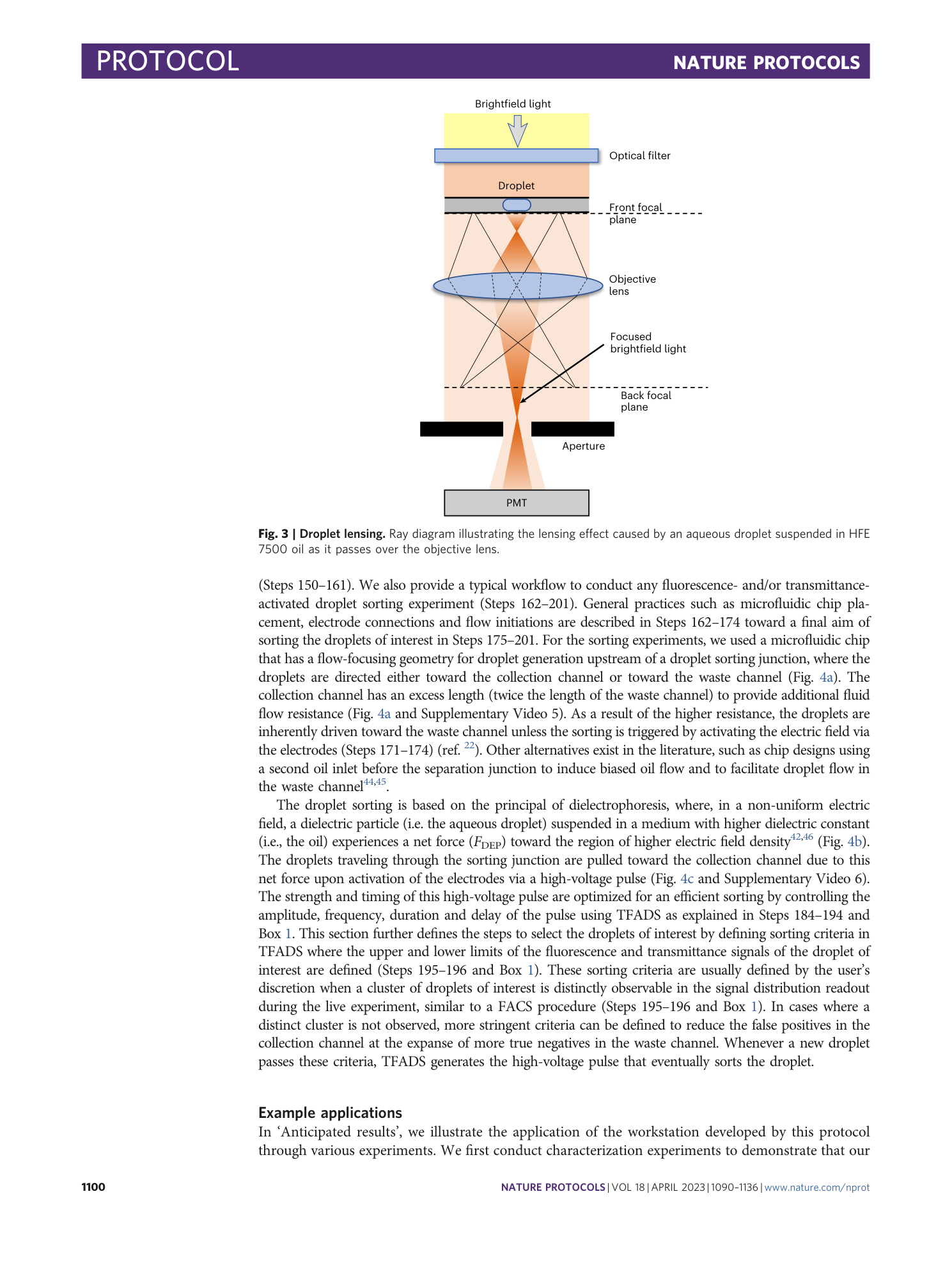 page-11