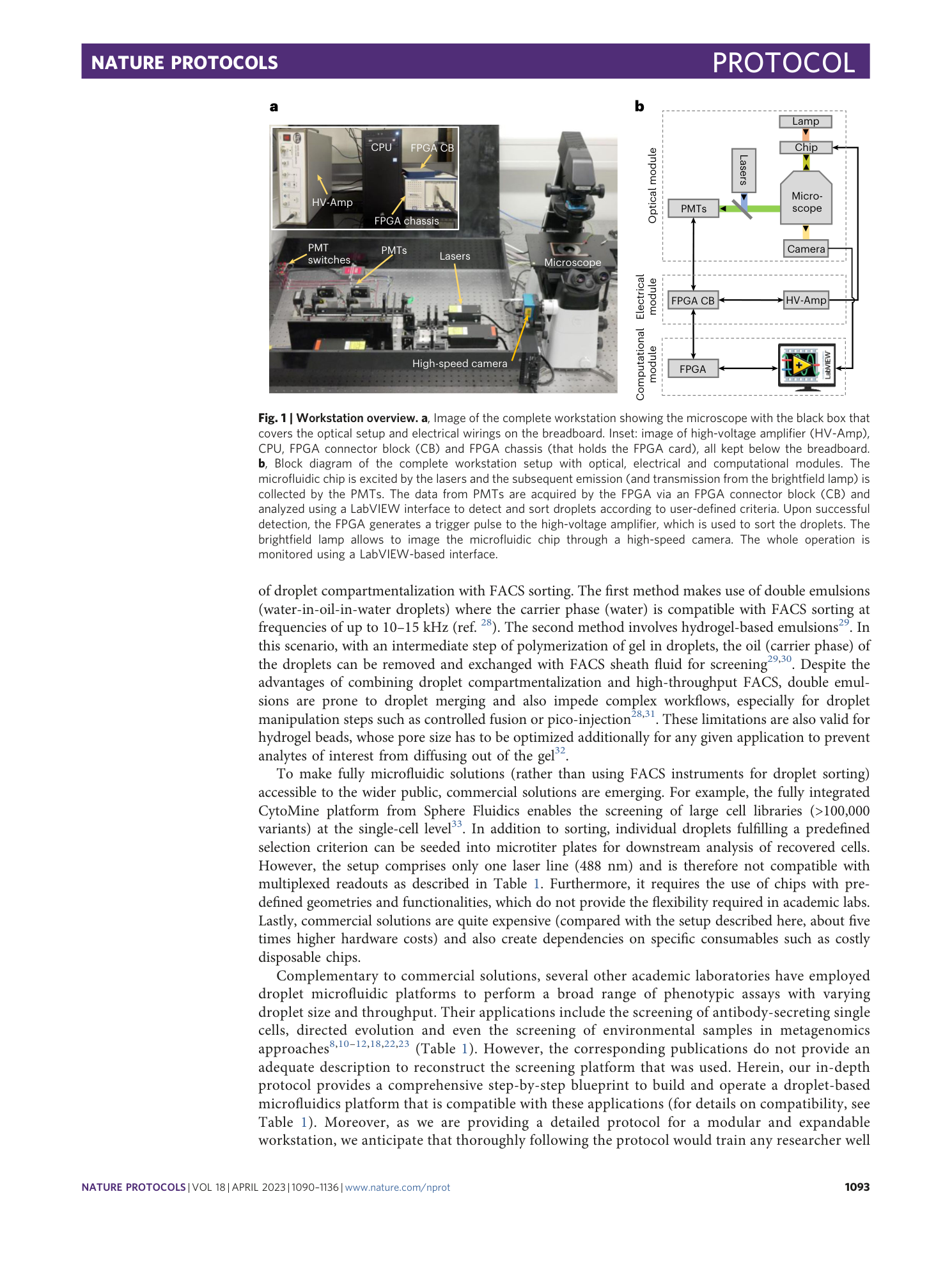page-4