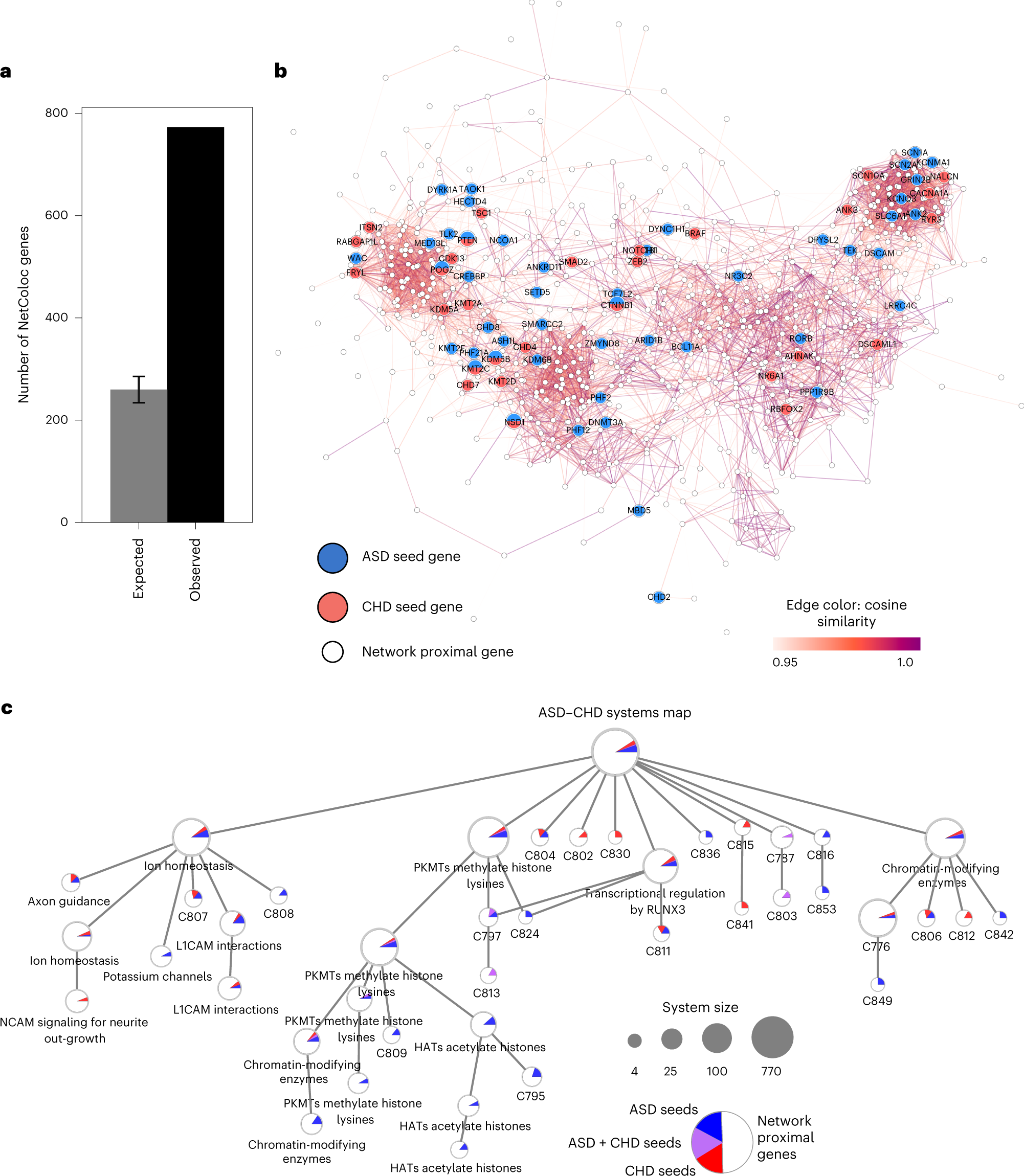 Fig. 3: Network colocalization of ASD and CHD.