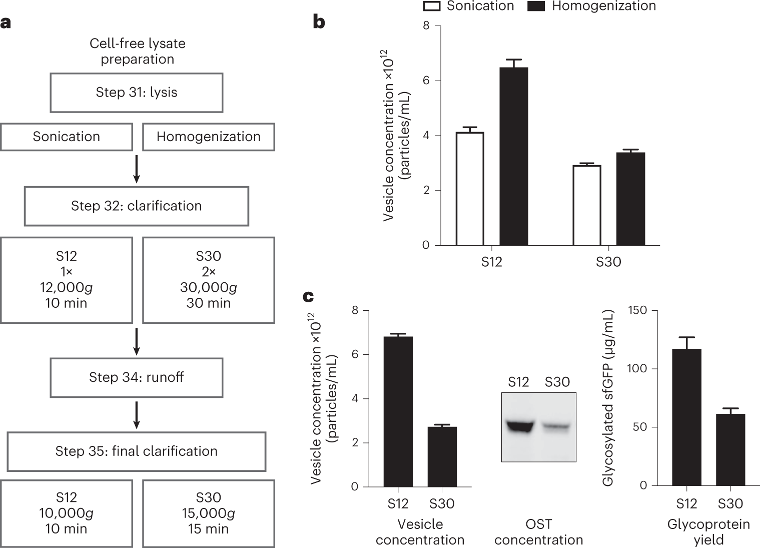 Fig. 3: Cell-free lysate preparation methods.