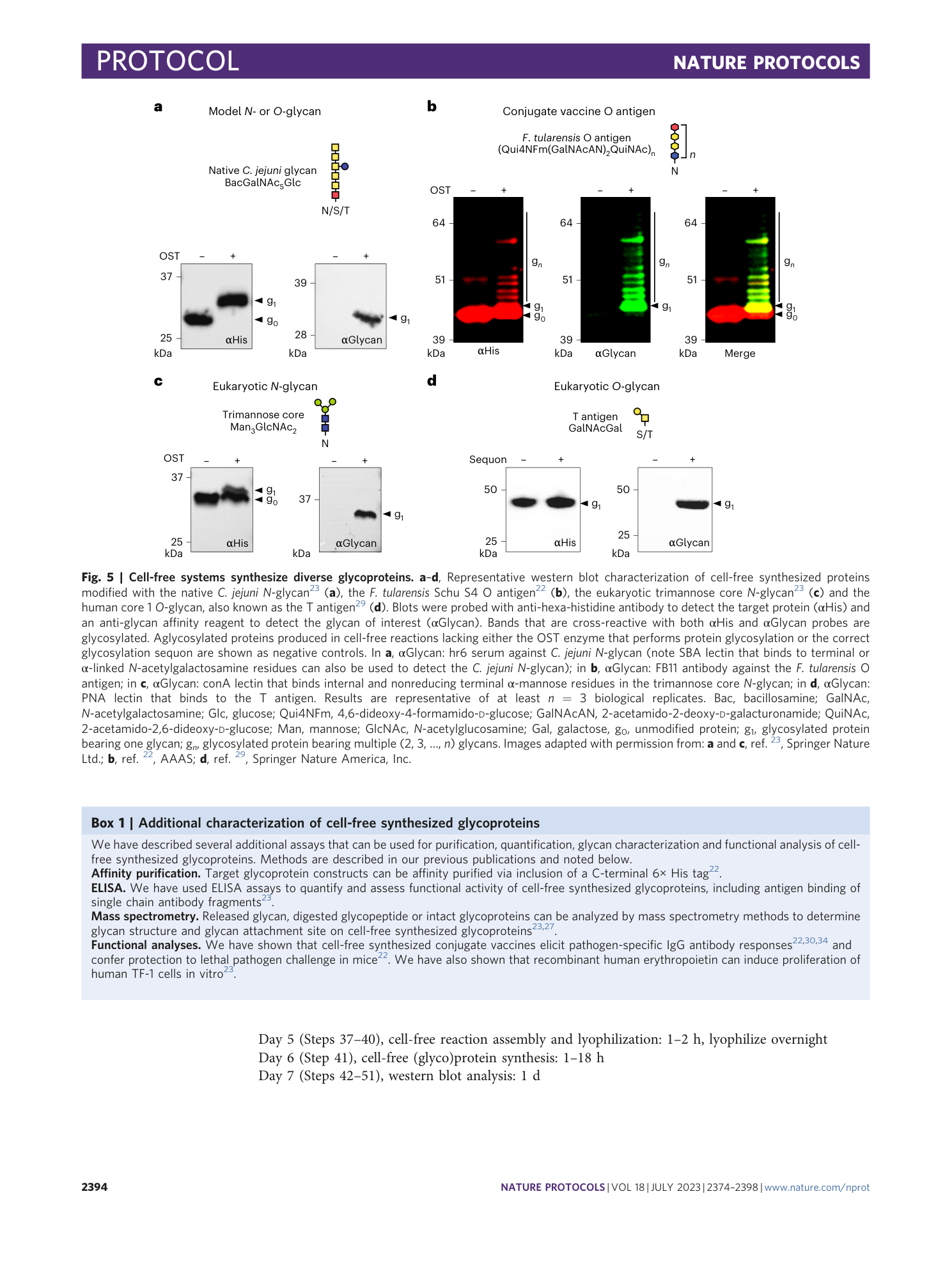 page-21